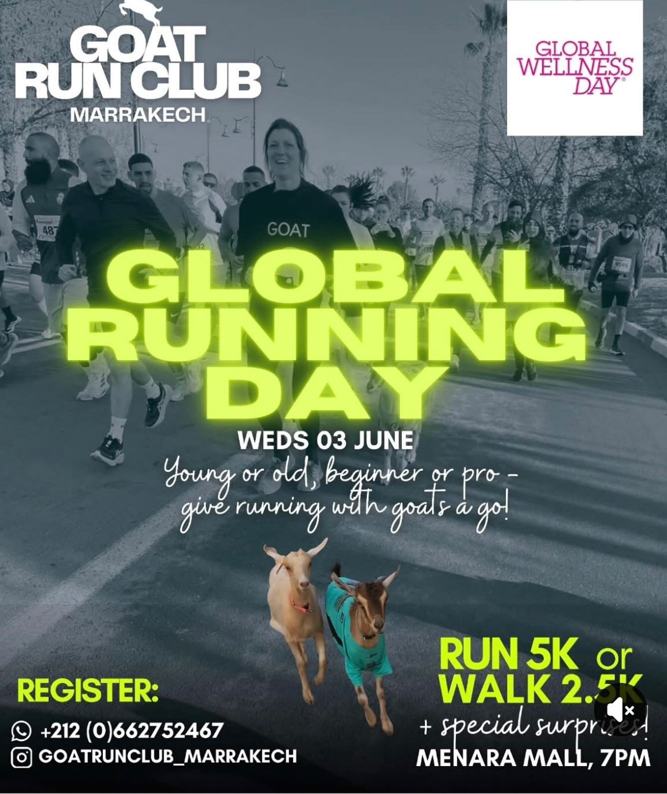 Two years ago, Rosanna Dawes ran in the half marathon in Marrakesh with her goat, Kai. She raised &pound;2000 for our charity and we are really very grateful.

Sadly, in the course of our work we see so much abuse in the tourist industry and I very s