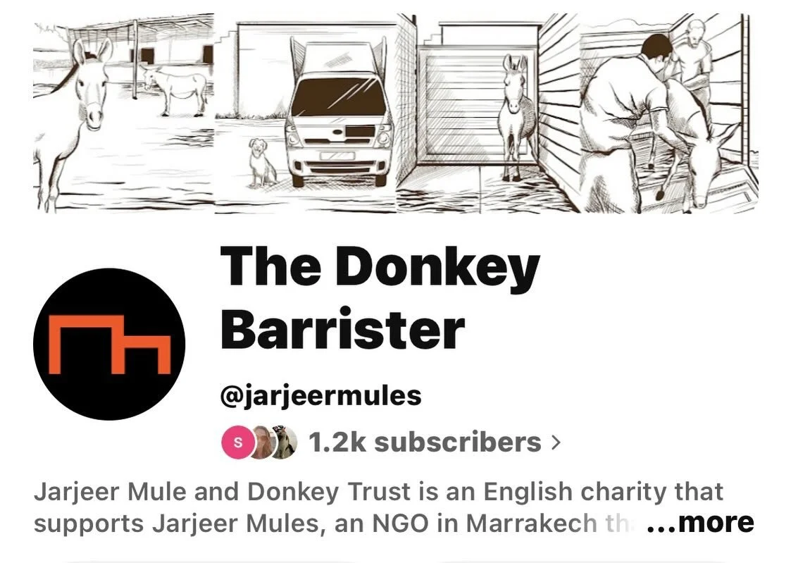 My latest YouTube video where I talk about animal cruelty on social media is live. You can find it by going into YouTube and looking for the "Donkey Barrister" . There's also a link to my YouTube on my bio. #jarjeer @youtube