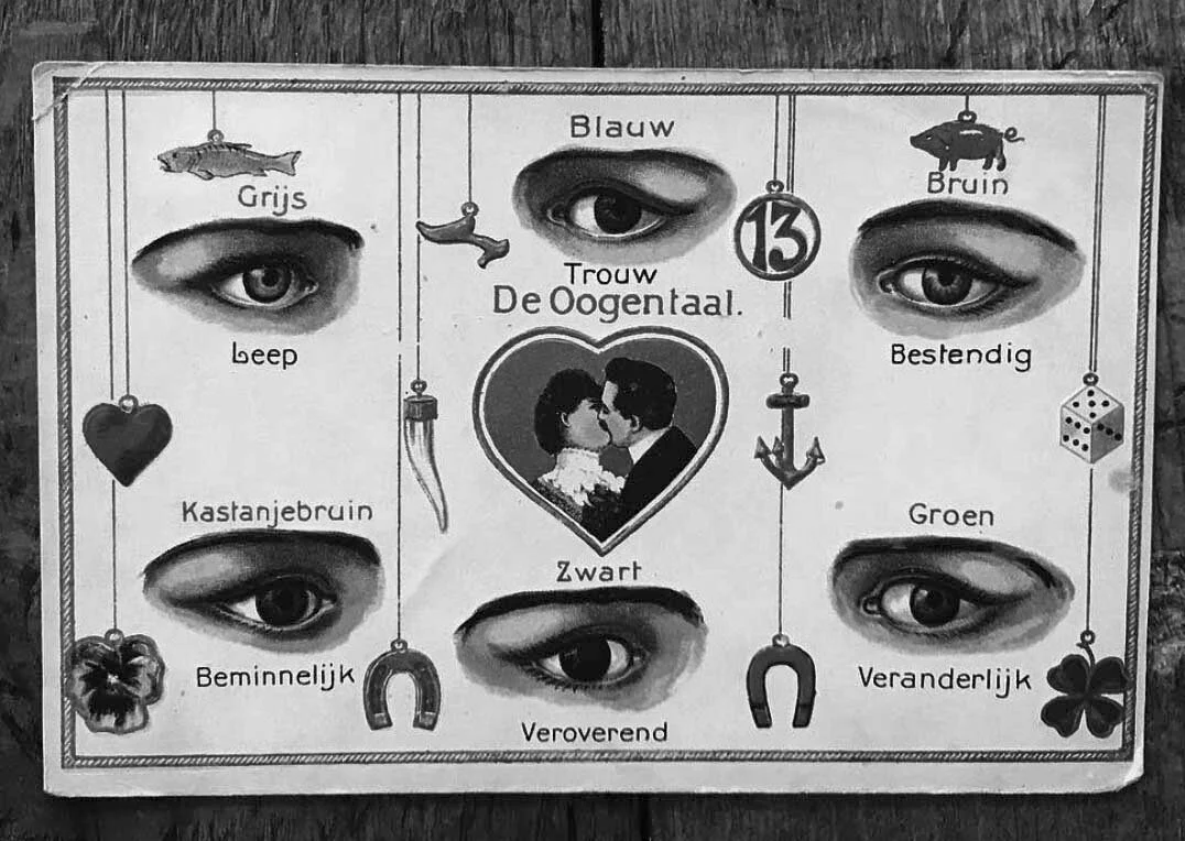 Screen Shot 2018-08-08 at 19.48.11_2.jpg