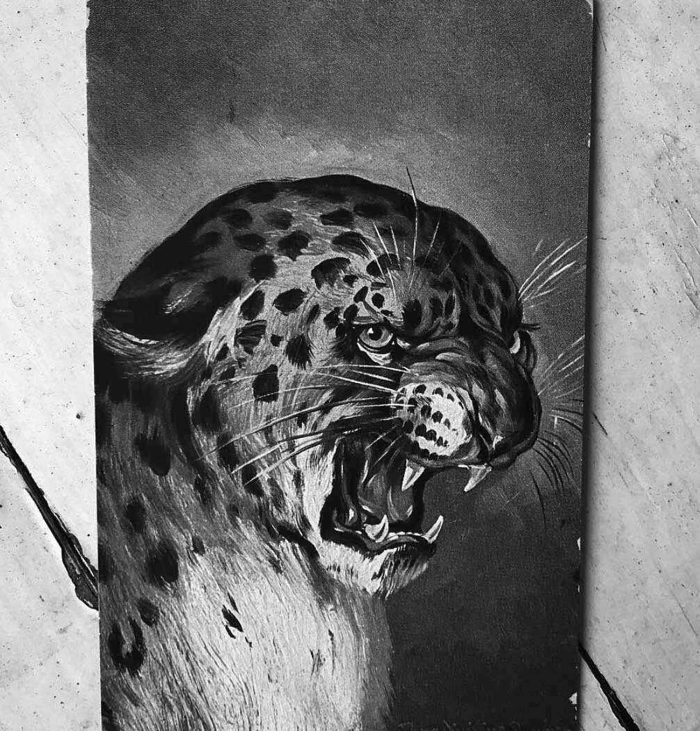 Screen Shot 2018-08-08 at 19.42.40_2.jpg