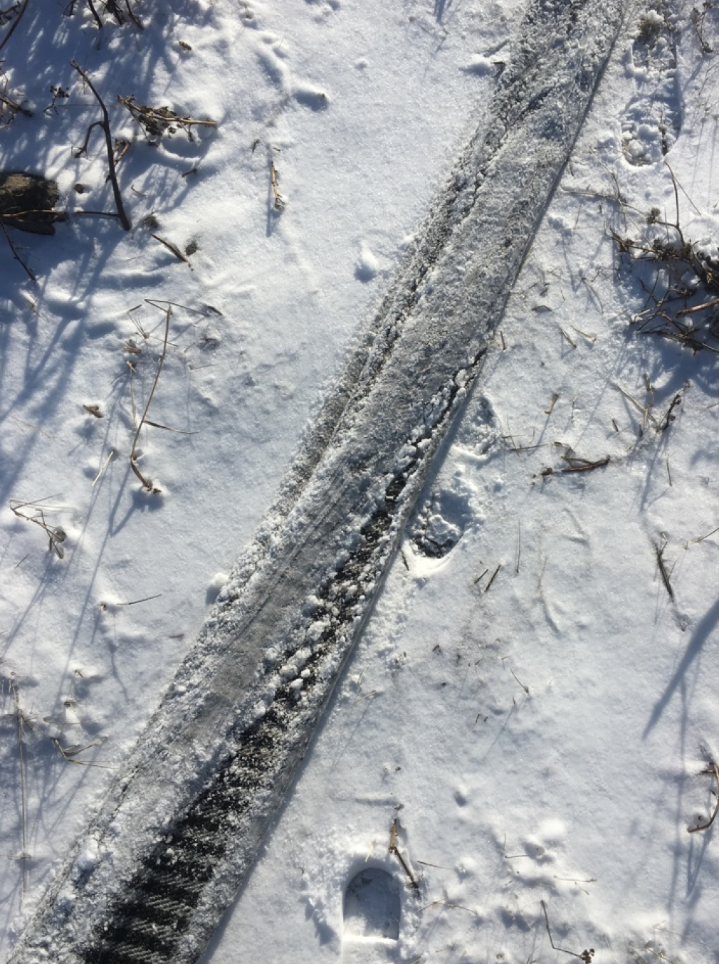 Screen Shot 2020-02-12 at 23.53.16.png