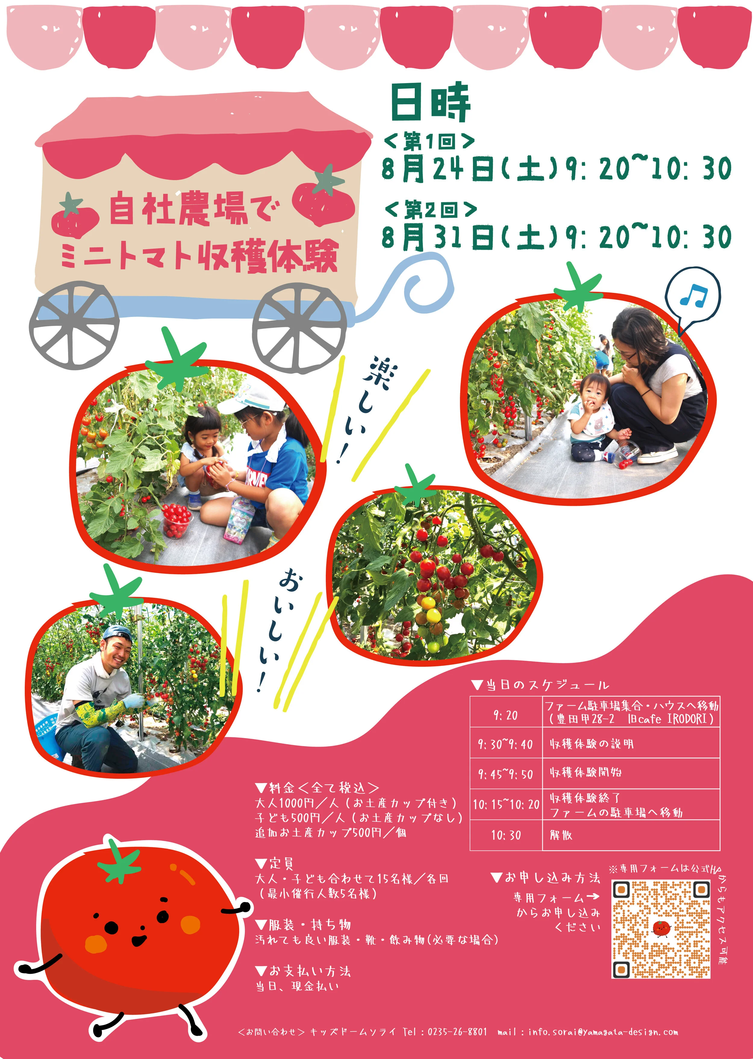 『自社農場でミニトマトの収穫体験』