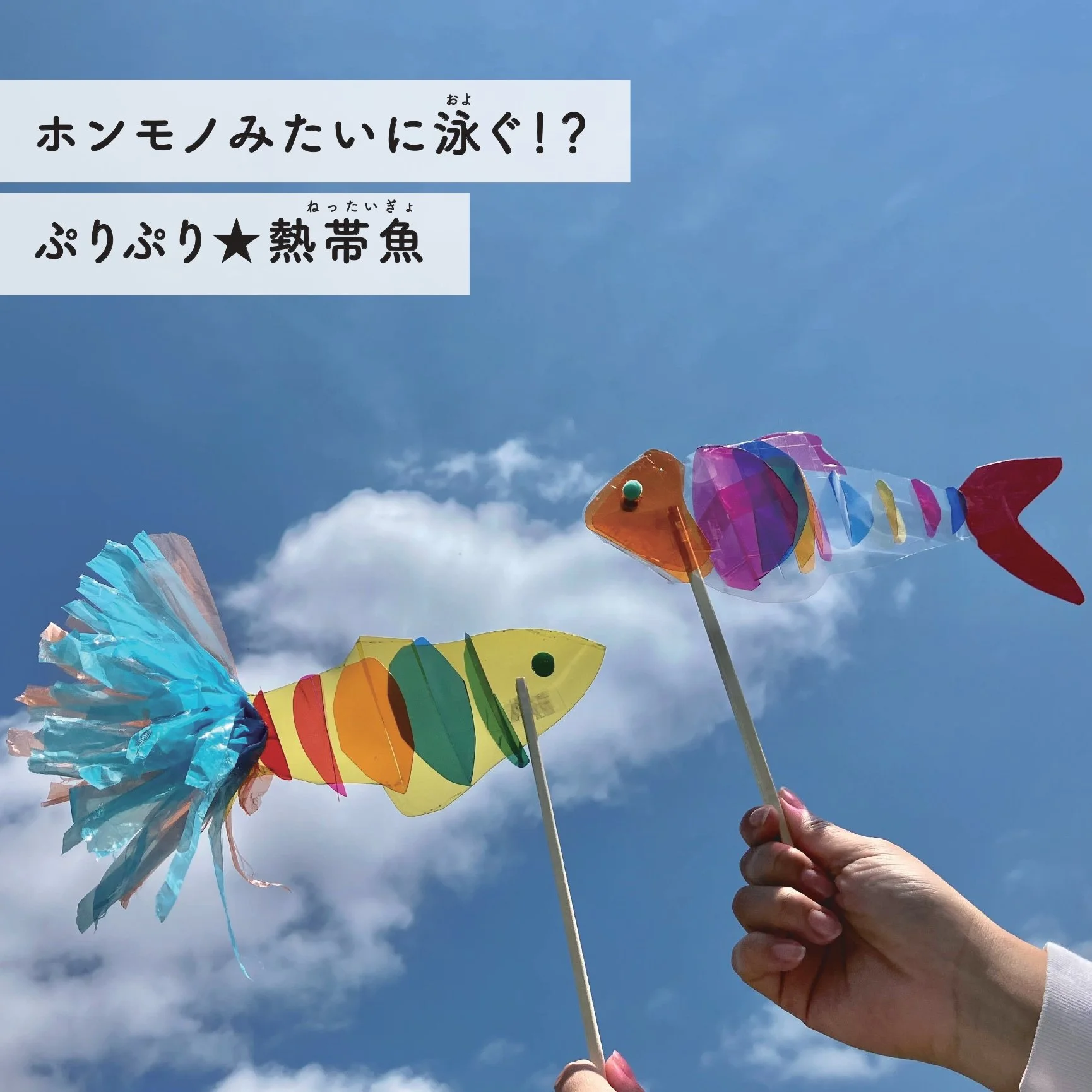 6/14~16開催🐠✨ホンモノみたいに泳ぐ！？ぷりぷり★熱帯魚ワークショップ