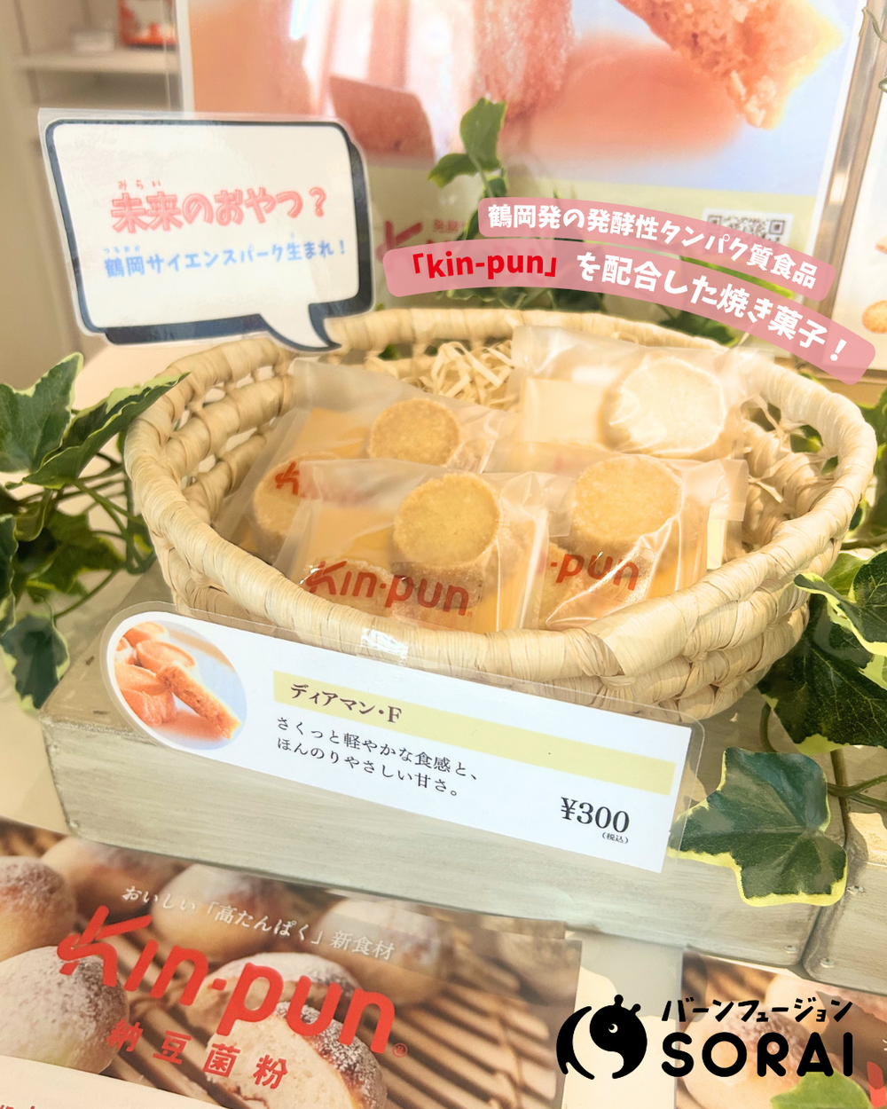 バーンフュージョンソライ | BahnFusion SORAI 天性を重視し個性を