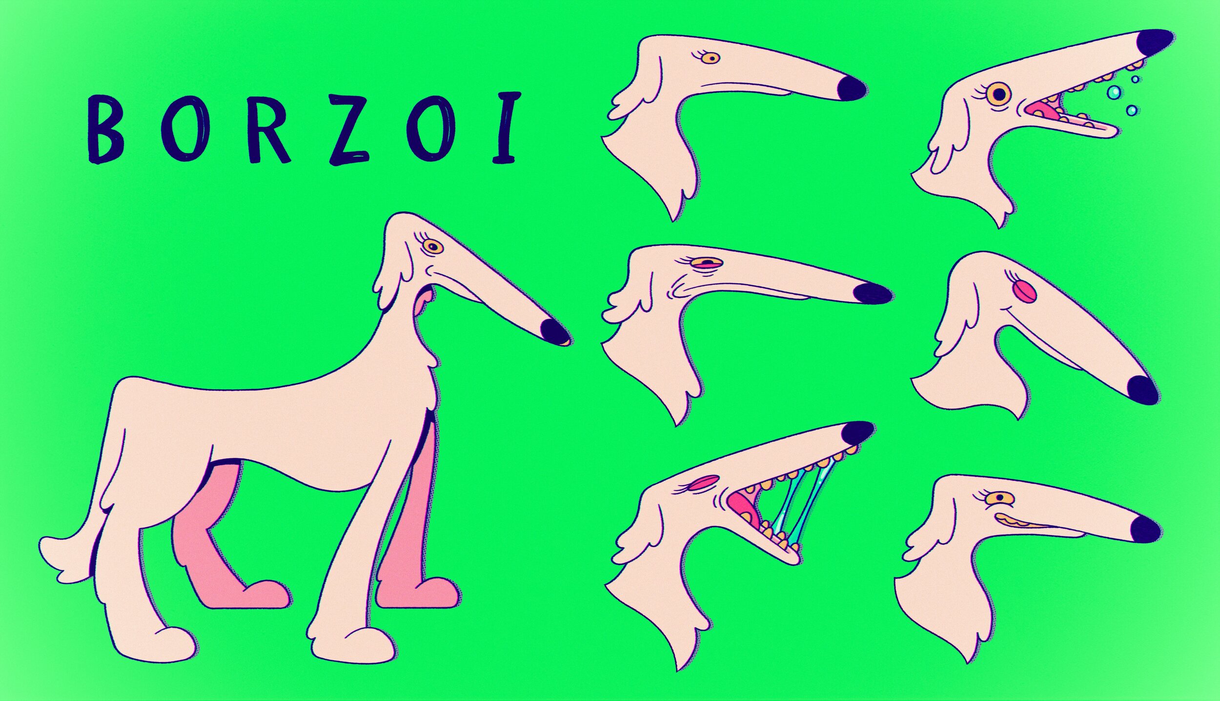 The Noble Borzoi