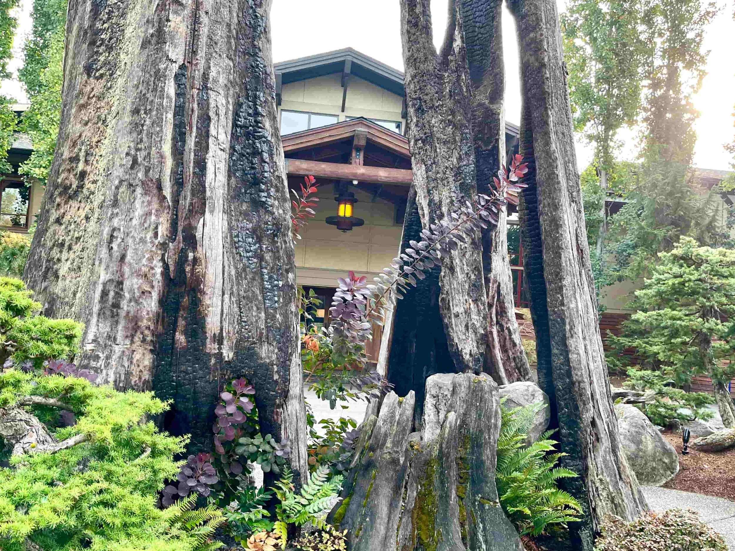 BEST-couples-resorts-Willows-lodge.jpg