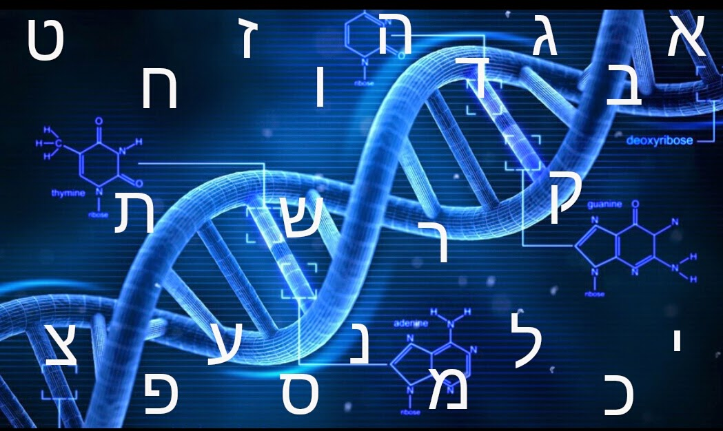 Learn Hebrew with Rony (עברית)