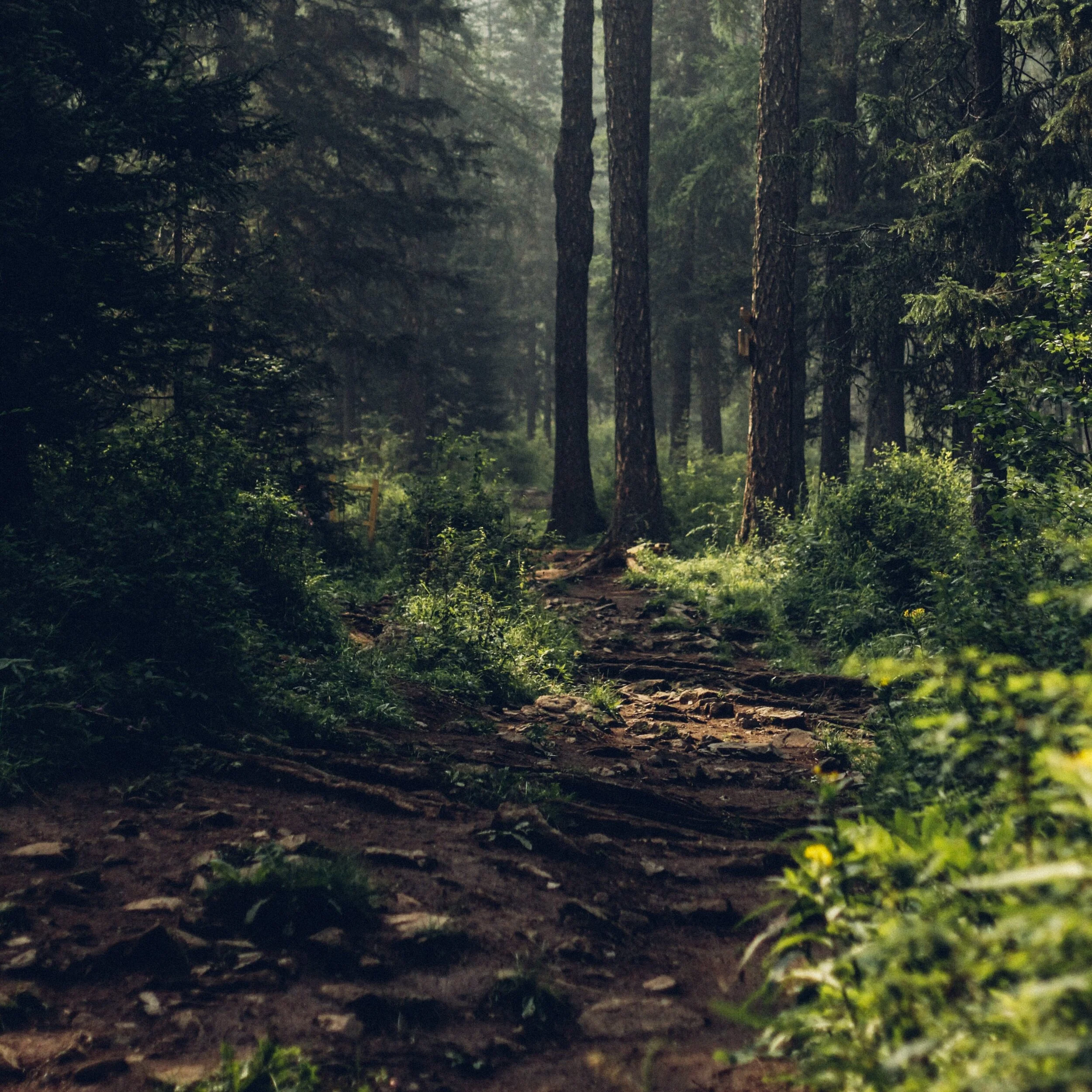 Improv Comedy Show at HIT!