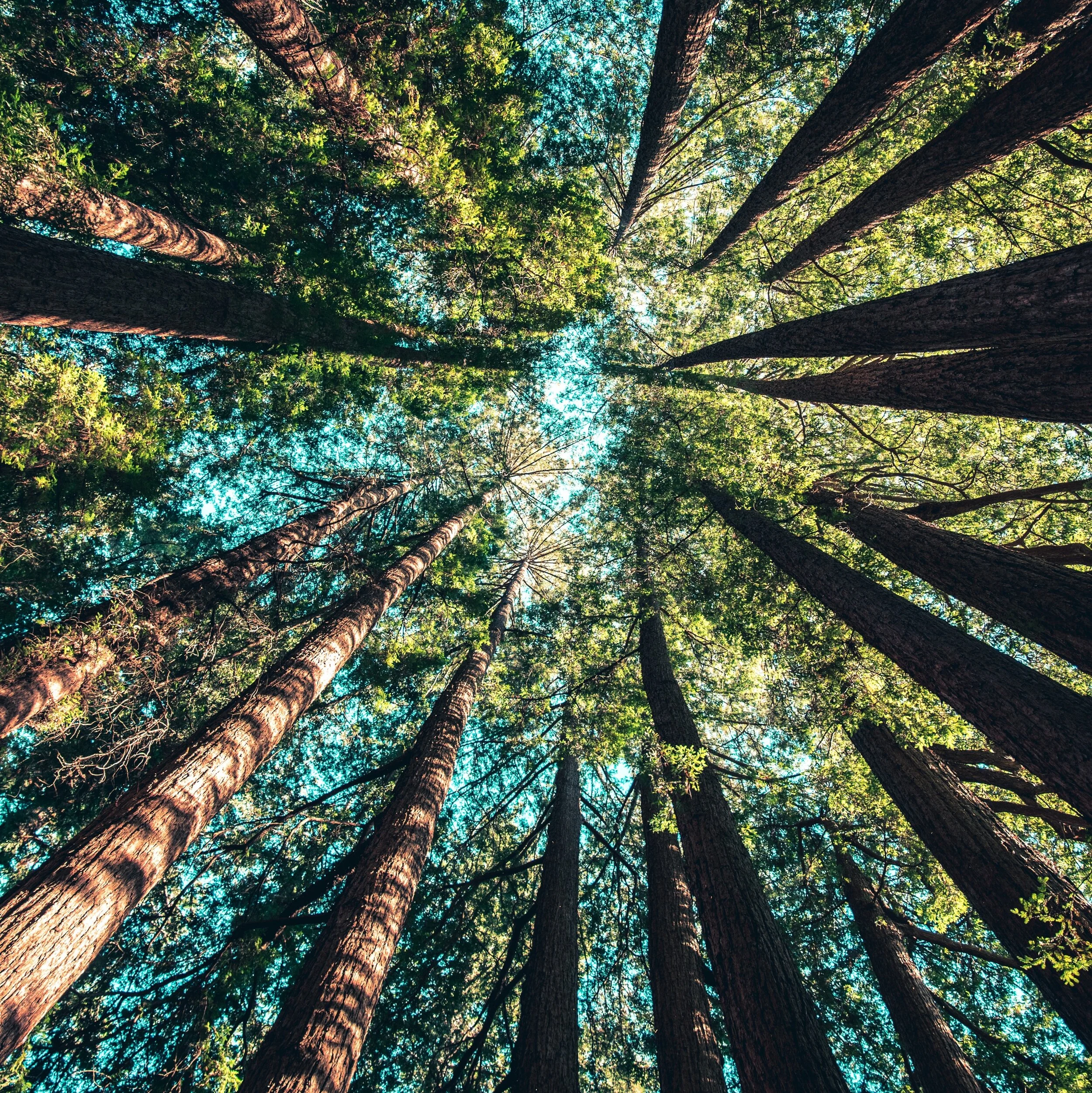 Improv Comedy Show at HIT!