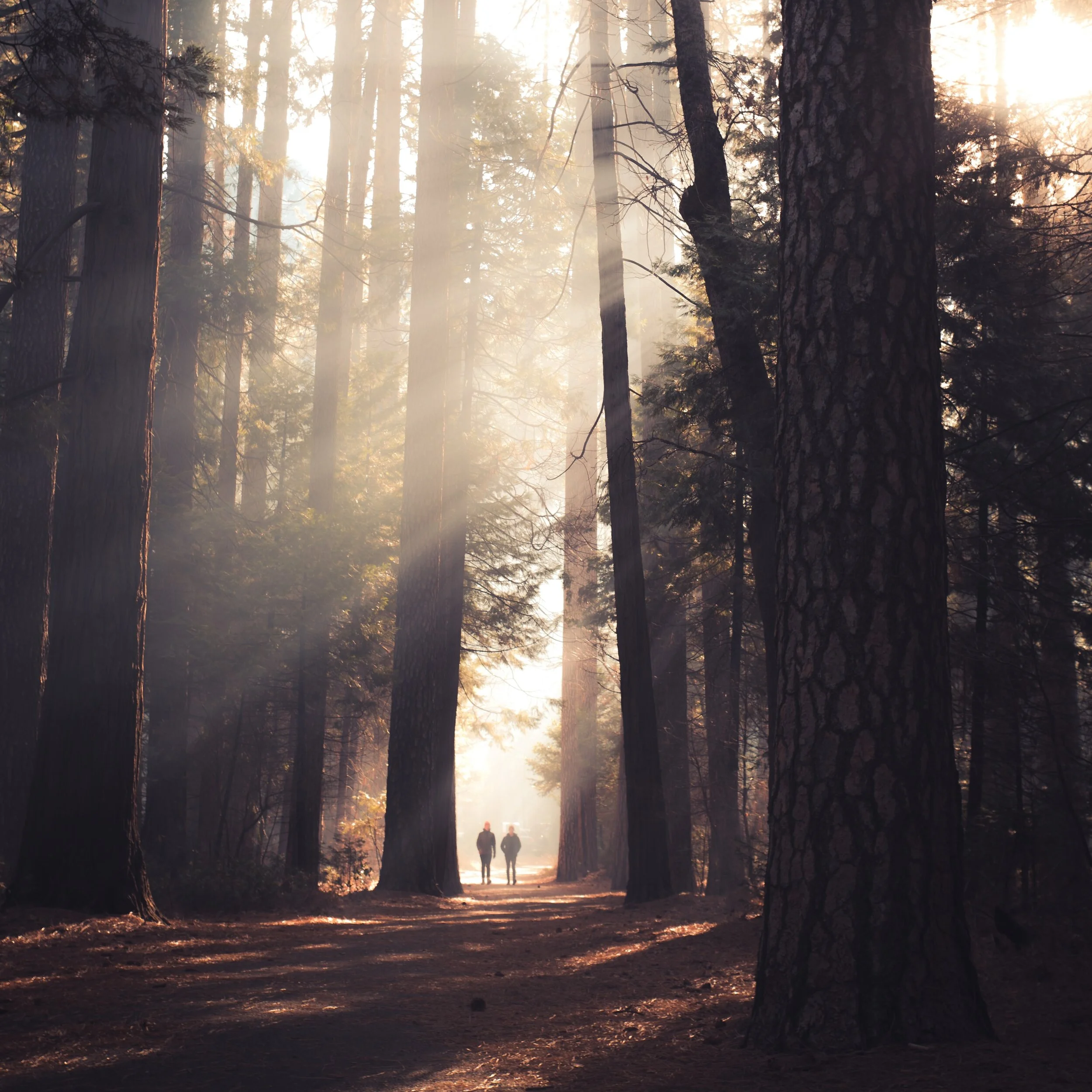 Little Amps on State Street w/ Hayfitz