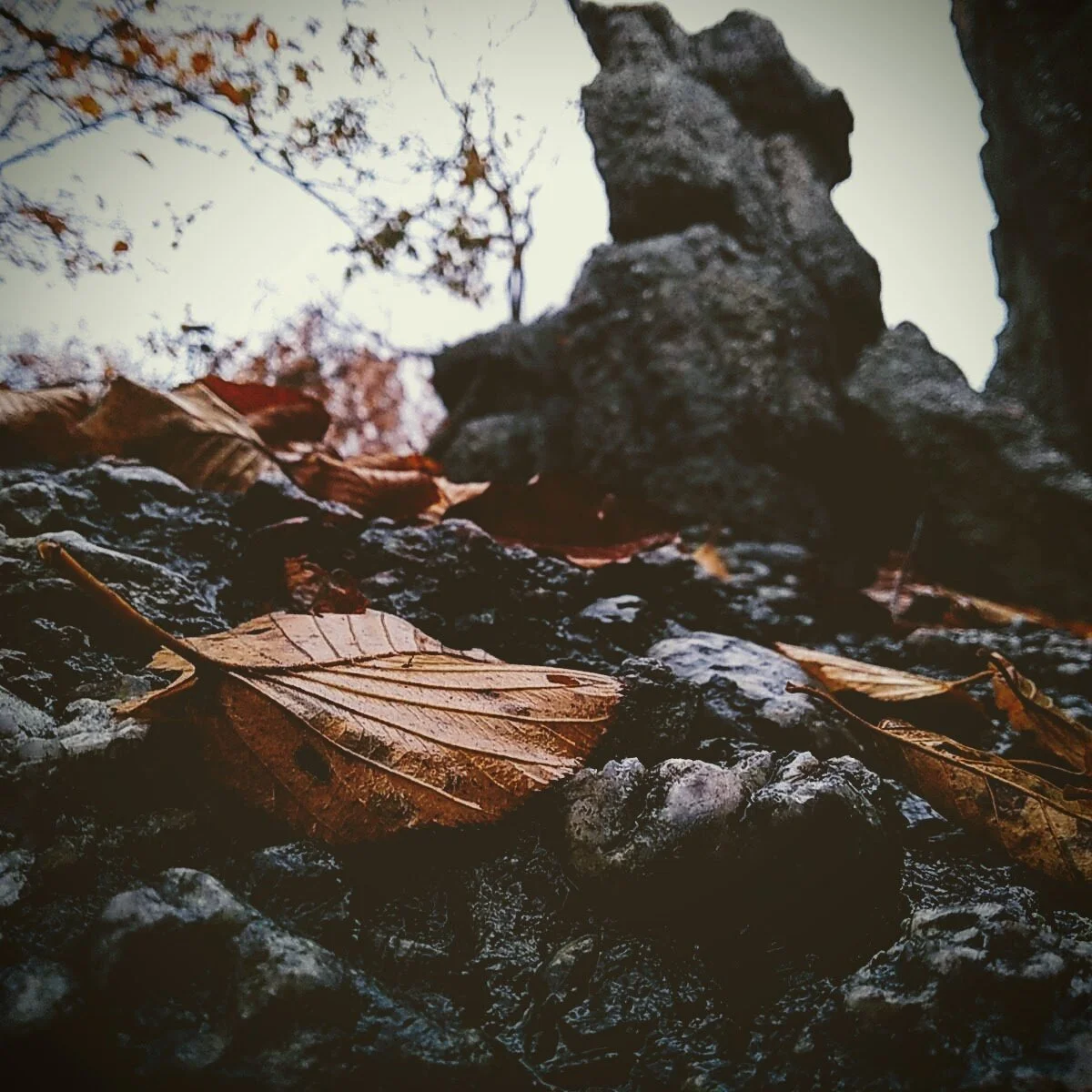 Tellus360 w/ Hollan in Lancaster PA