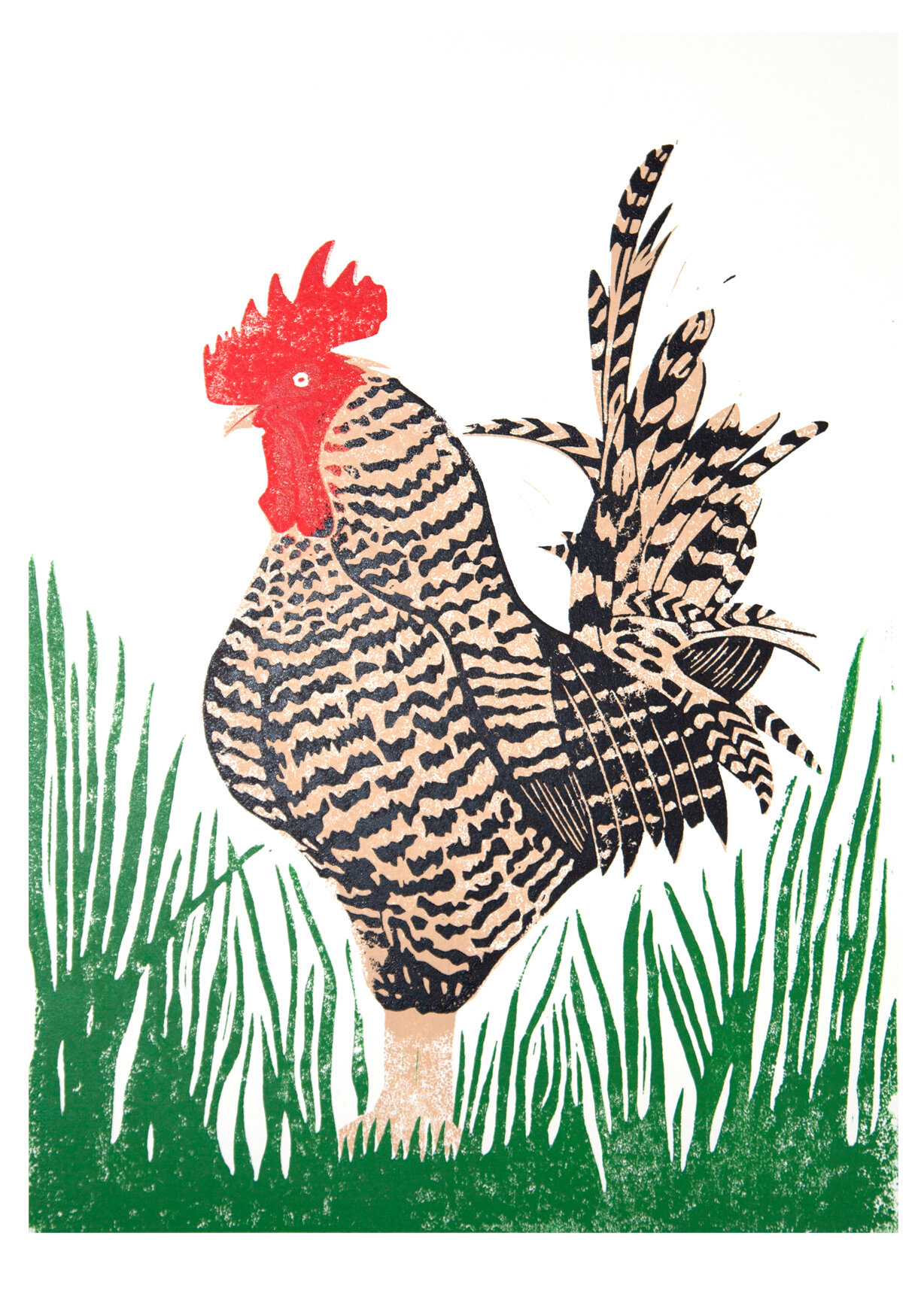 Cock