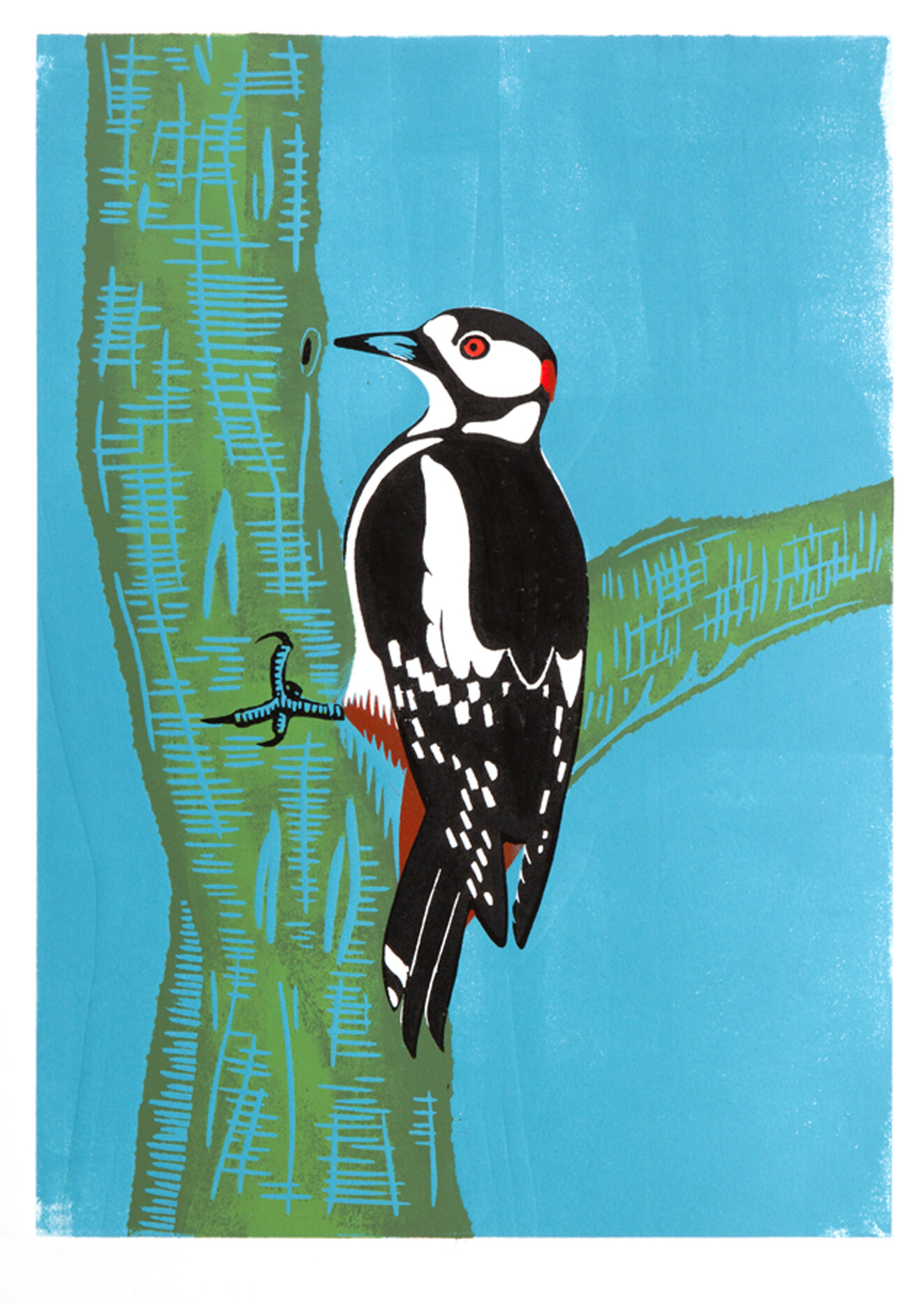 Lesser spotted woodpecker