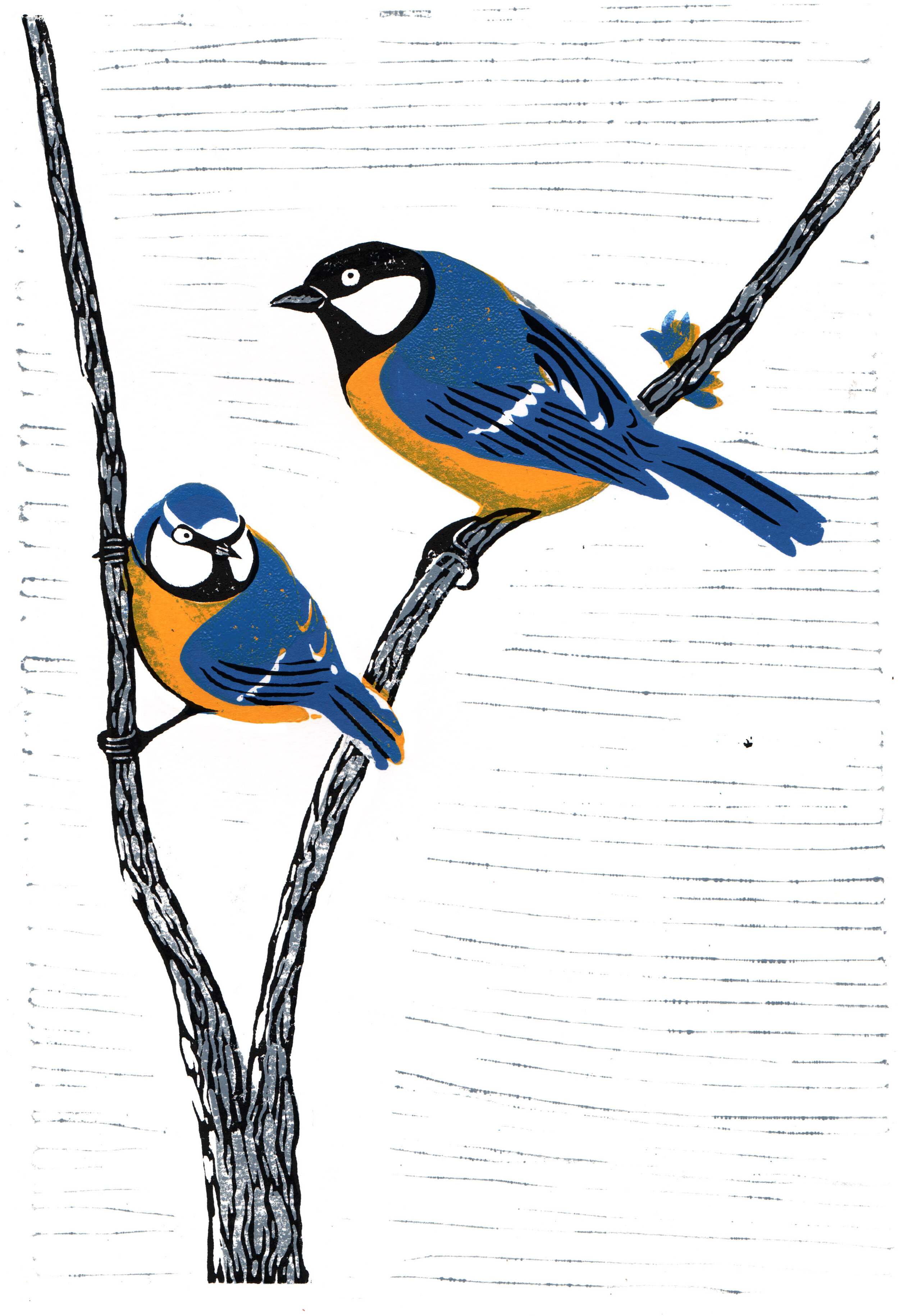 Blue & great tits