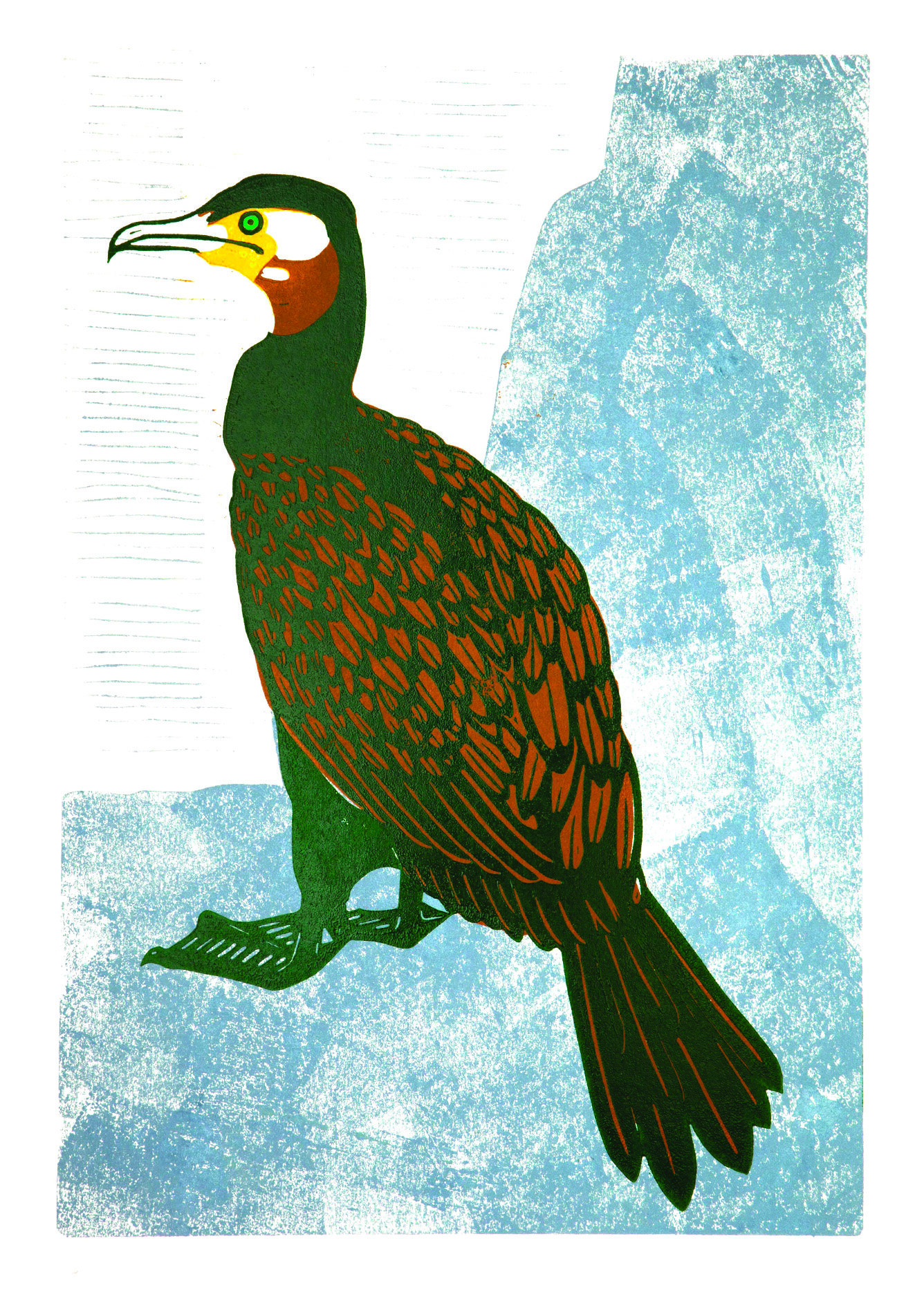 Shag