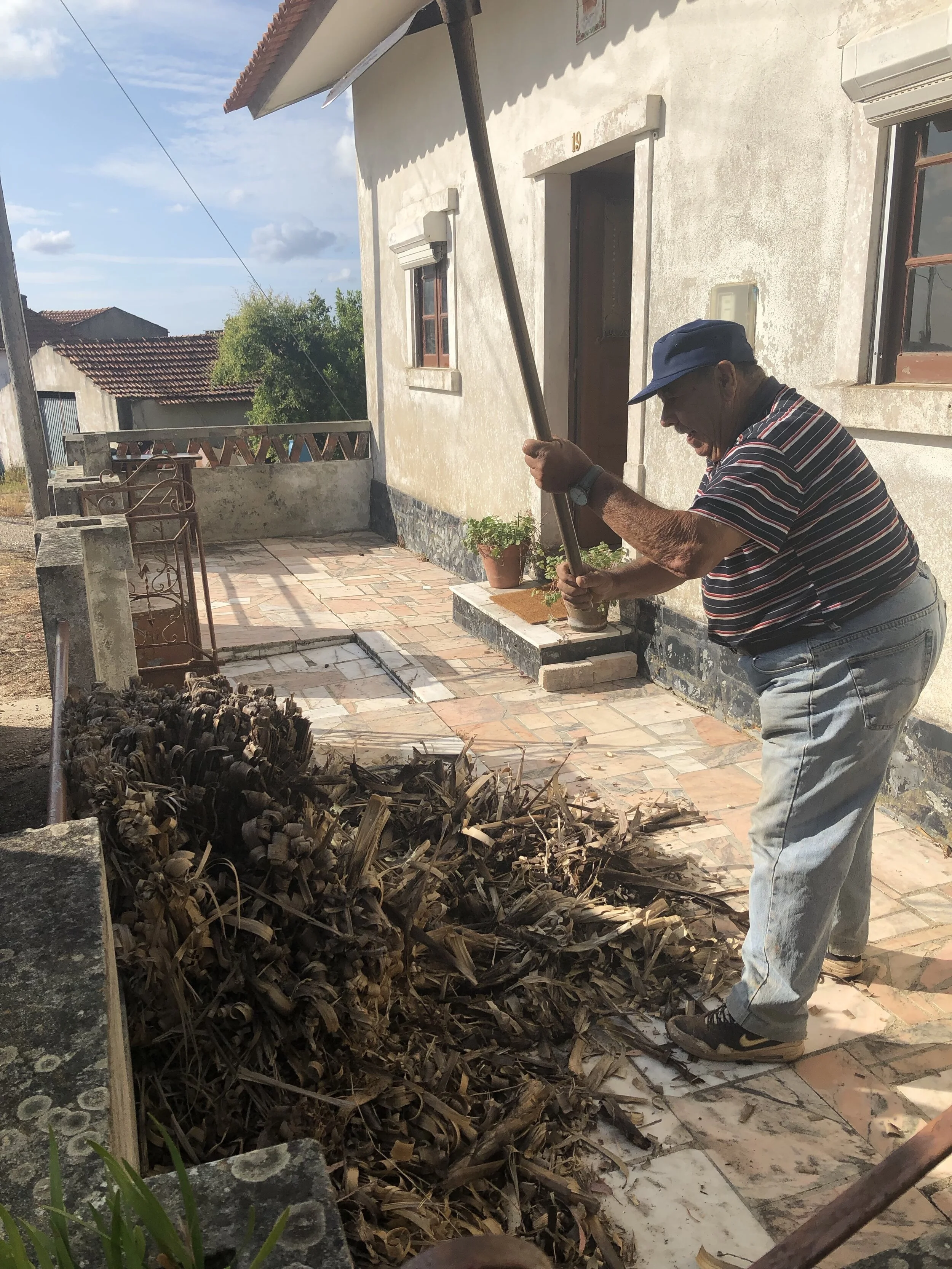 Jose is our neighbor to the right of Farmhouse. He always lends a hand. He often yells out ‘Rubbish’ &amp; brings fresh produce from his farm. (2019)