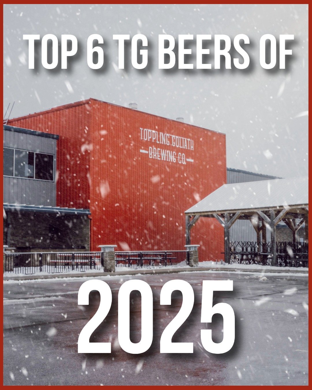Happy New Year! 🥂 

2025 was a fantastic year and today, we will give it up for our top 6 beers! 

We're curious, what is your all time favorite TG brew?