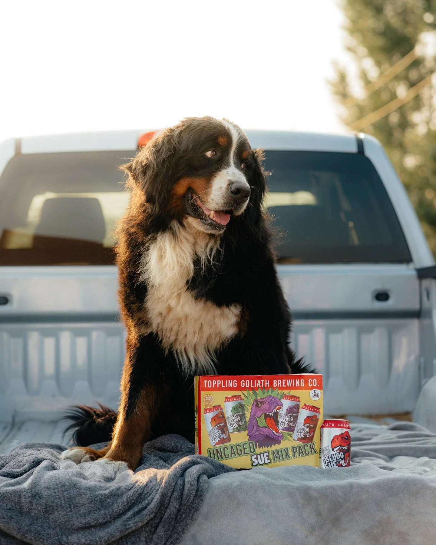 Truck bed, best friend, and a cold one waiting. 🍺