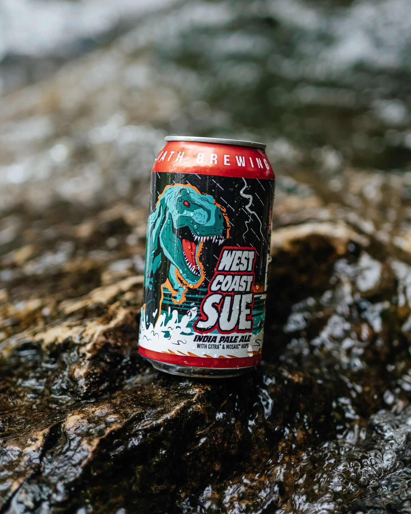 NEW! West Coast Sue!⚡🌊 

IPA | 6.5% ABV

Erupting from an angry sea to rain down ferocious Citra &amp; Mosaic hops on the unsuspecting beer drinkers, West Coast Sue is making a splash. This hop-forward IPA has notes of citrus and tropical fruits wit