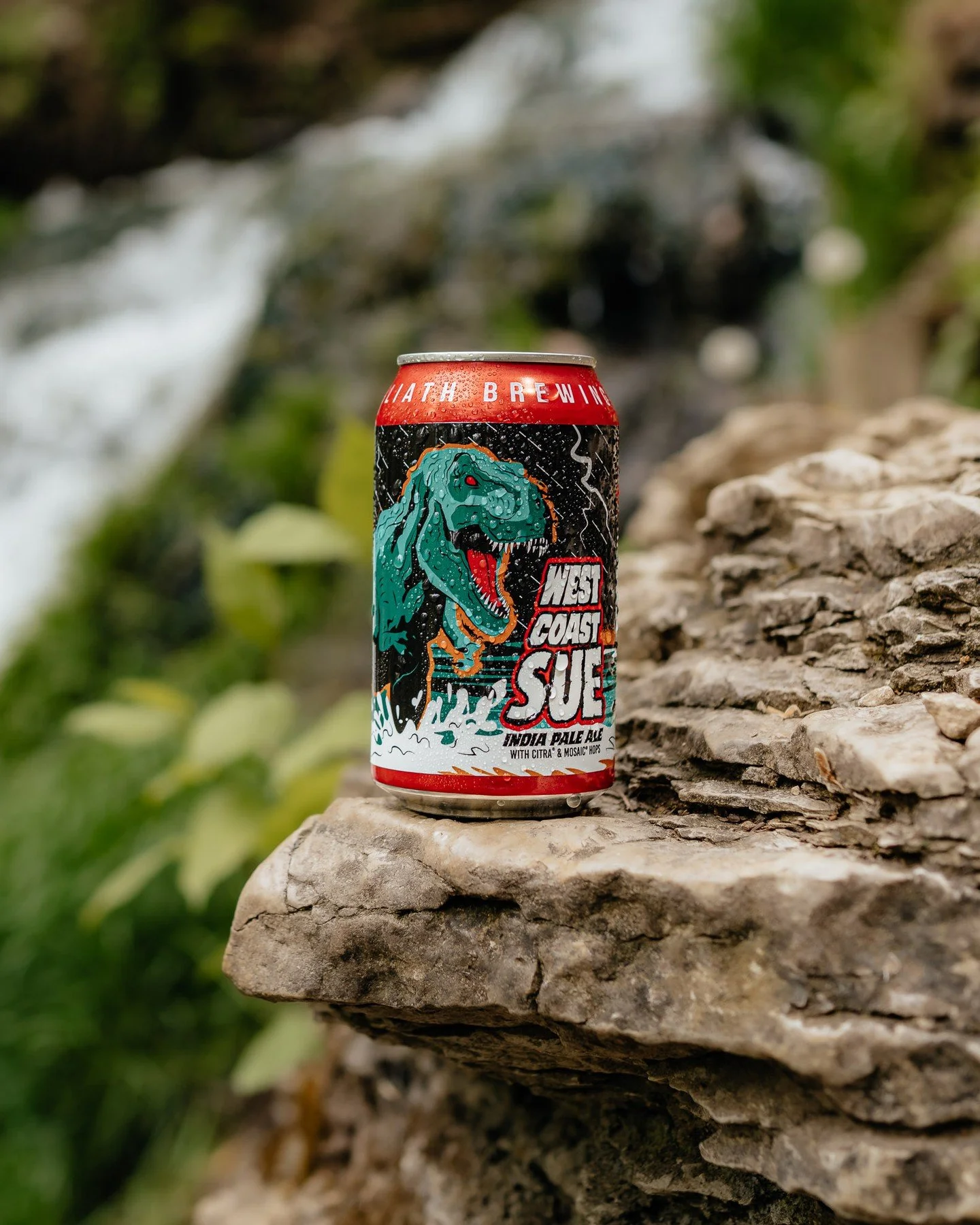WEST COAST SUE⚡ 🦖 

IPA | 6.5%

Erupting from an angry sea to rain down ferocious Citra &amp; Mosaic hops on the unsuspecting beer drinkers, West Coast Sue is making a splash. This hop-forward IPA has notes of citrus and tropical fruits with a mild 
