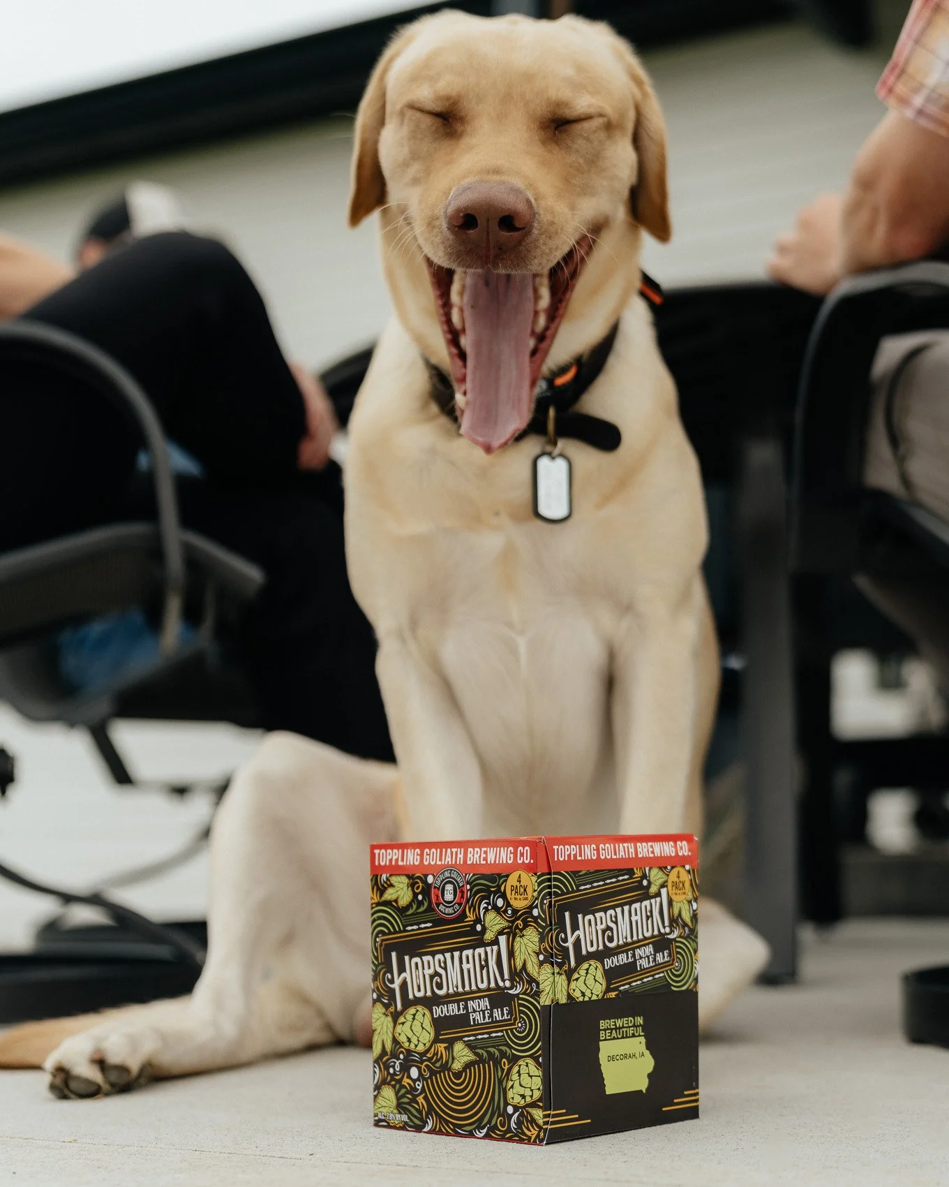 Even your dog gets excited when handed beer. 🍺🐶

HOPSMACK!
DIPA | 7.8% ABV

Giant aromas of pineapple and tropical fruit jump from this enticingly complex double IPA. True to its name, HOPSMACK! delivers a heavy smack of dry hops and a double dose 