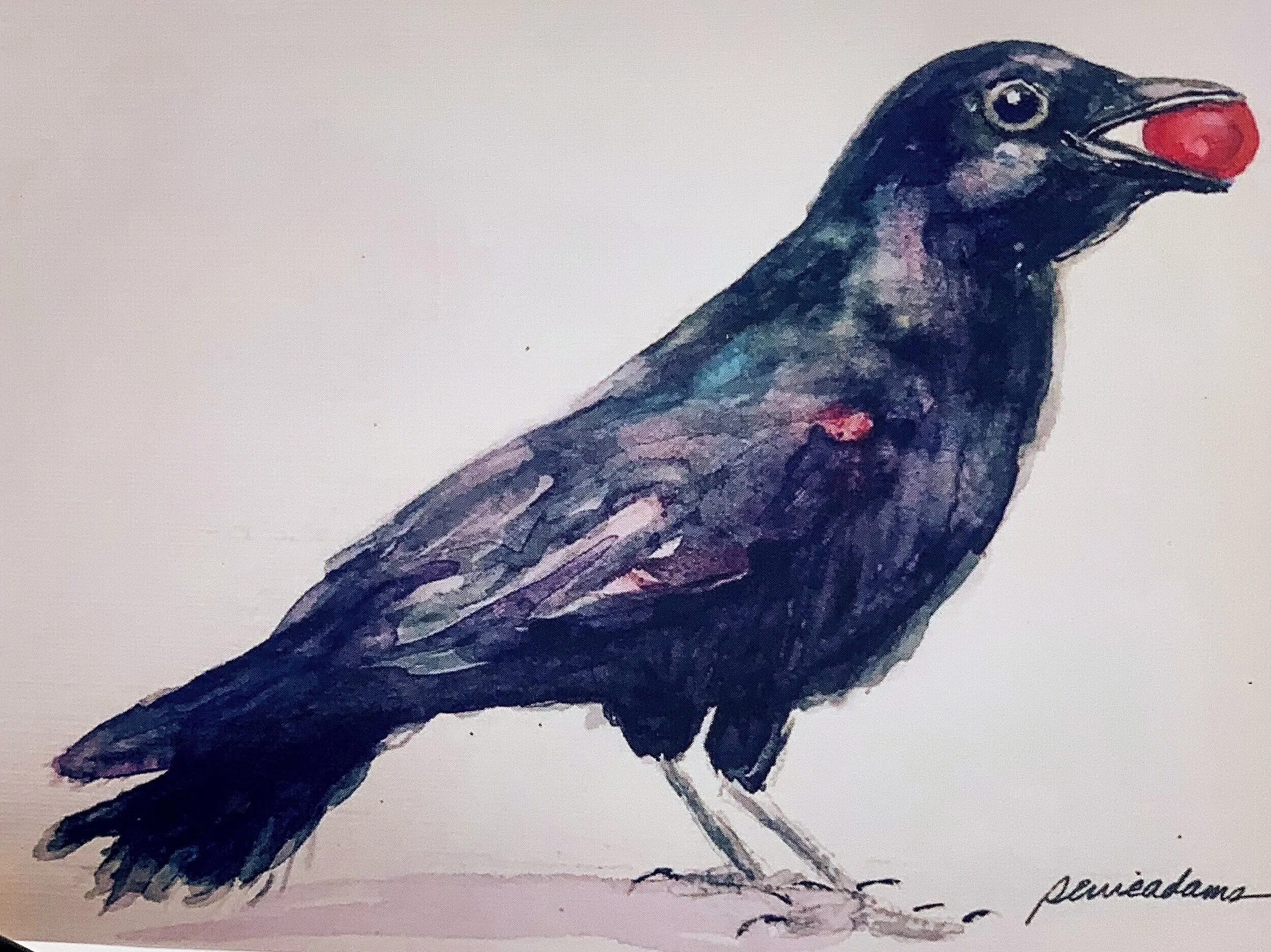 The Raven Notecard Set