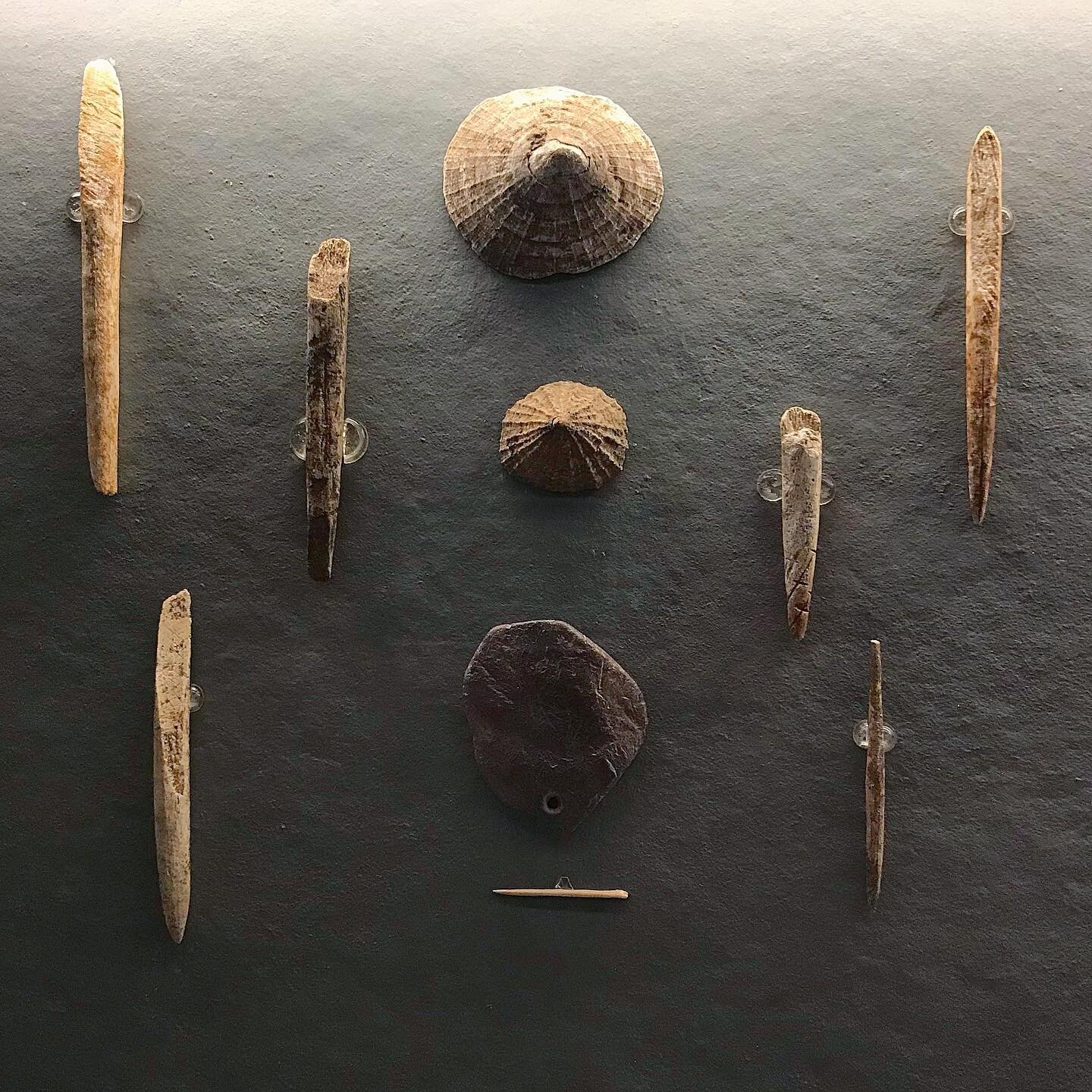 Altamira&rsquo;s Original Finds

More than 140 years later, these various artifacts (limpet shells, bone tool/weapon fragments, a perforated stone) were the nexus for a bold conclusion by a little known Spaniard from Cantabria (then known as the prov