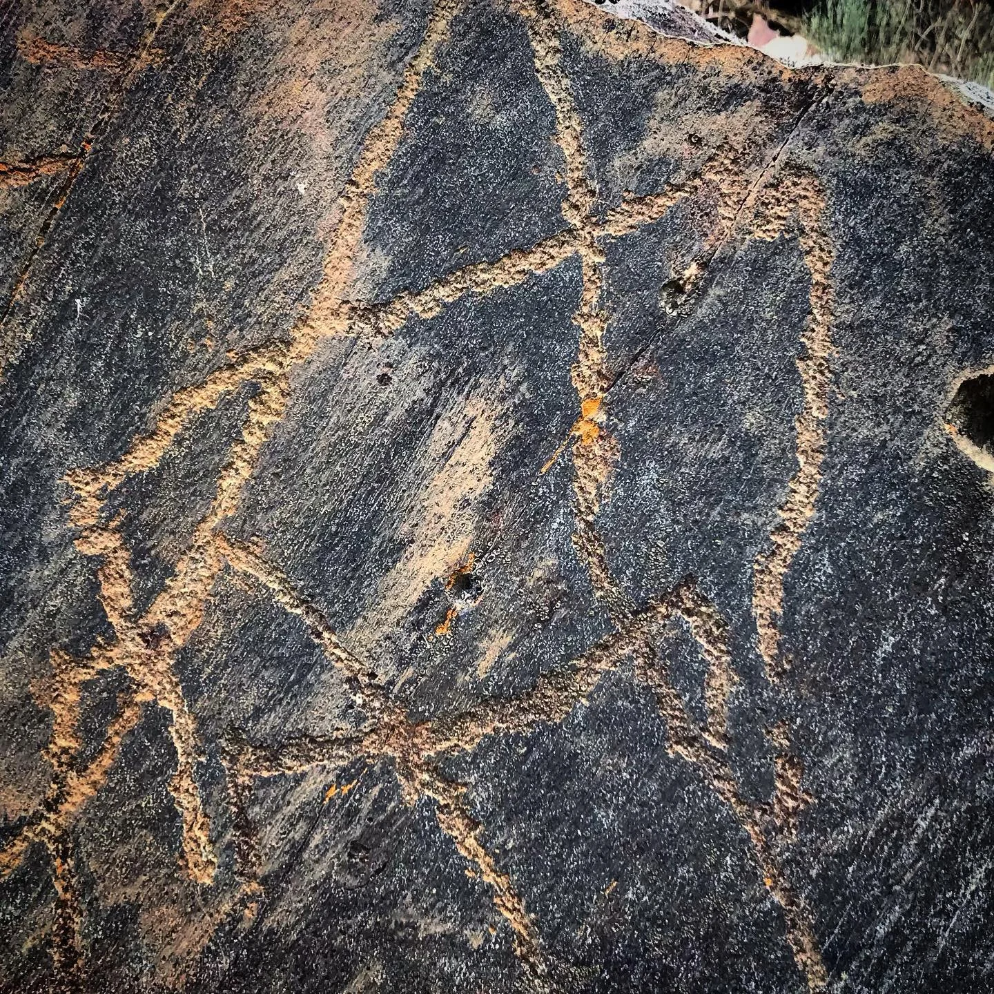 Looking at you.  While certainly not the most impressive depiction in the Coa Valley, it could be one of the most interesting.

This strange looking figure at first glance seems difficult to identify.  Closer inspection reveals a characteristic depic