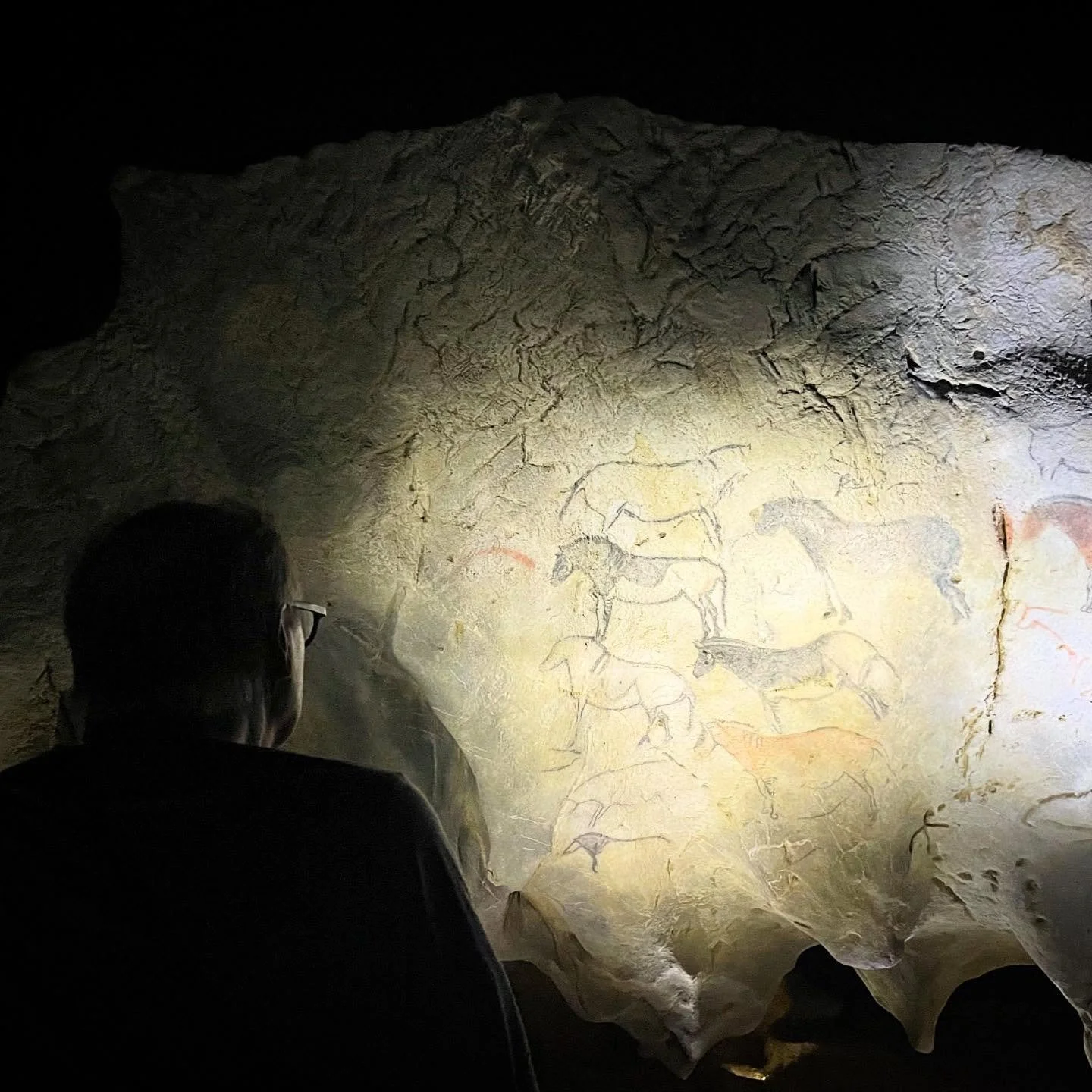 Contemplating Horses of Importance.

The horse is the animal most depicted in Paleolithic figurative art in Europe.  We are not sure why, but it must have been important to Paleolithic culture.

Horses were a part of the diet, but certainly not the m