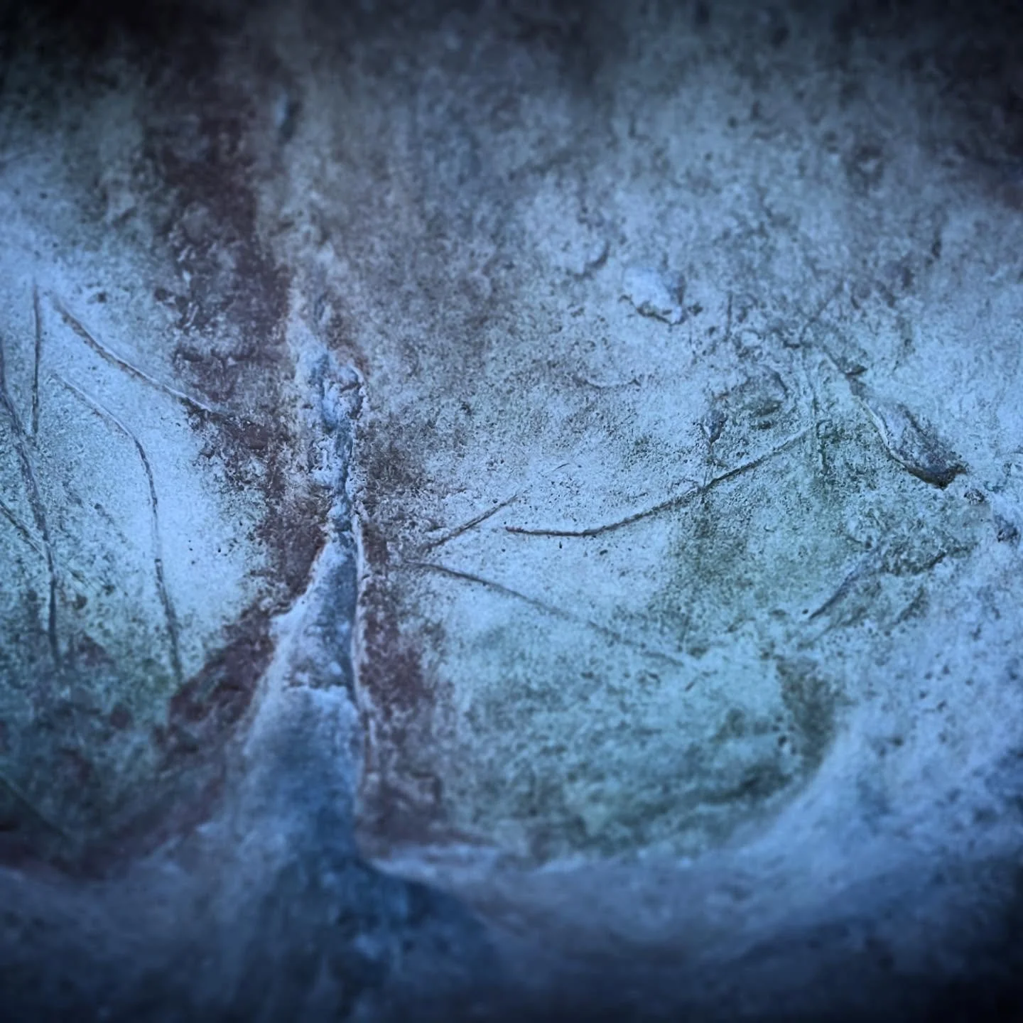 Three Lines.

Some 20,000 years ago or more, a Paleolithic &ldquo;artist&rdquo; engraved three separate lines to make the figure of an animal.  There are two of these figures in this image.

Can you see them?  What animal are they?

One line for the 
