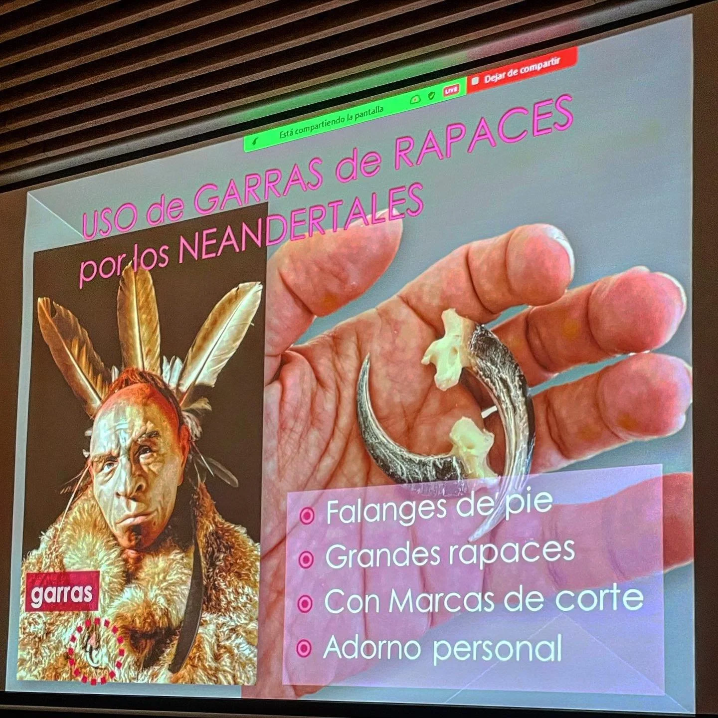 Neanderthal Archaeology: attending a course covering hunting strategies, culture, symbolic behavior, cannibalism and genetics of our sophisticated evolutionary cousins (who are now in most of us). Fascinating lectures by brilliant researchers versed 