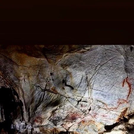 Power-

One of my favorite views in any cave, perfect for understanding the complexity of many figurative Paleolithic art depictions and how truly deliberate they were at times.

For me, the most intriguing depictions are those where your mind must w