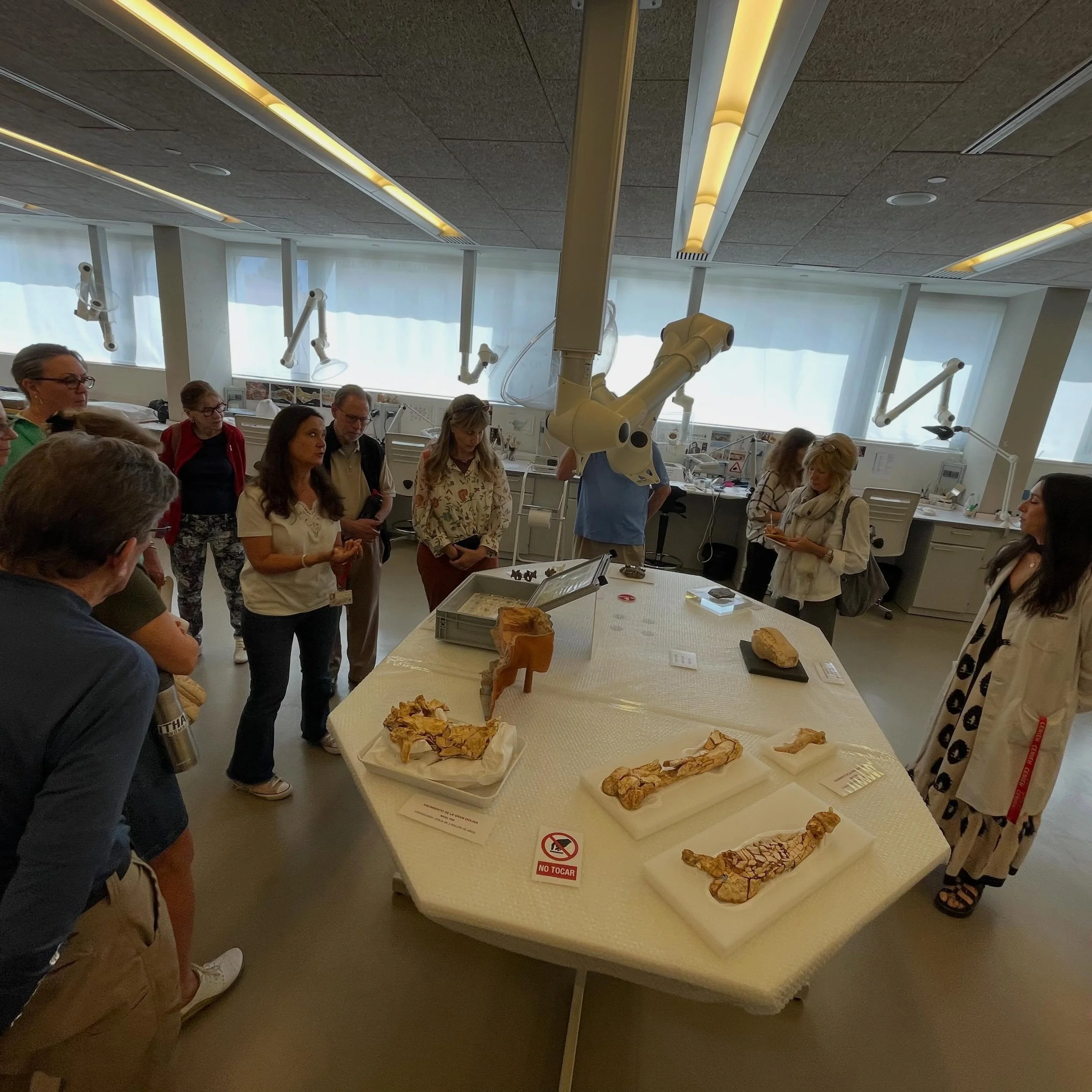 Hanging out with 1 million year old fossils while visiting the CENIEH (National Center for Investigation of Human Evolution) with one of the directors of Atapuerca, and the director of the Arizona State University&rsquo;s Institute of Human Origins&h