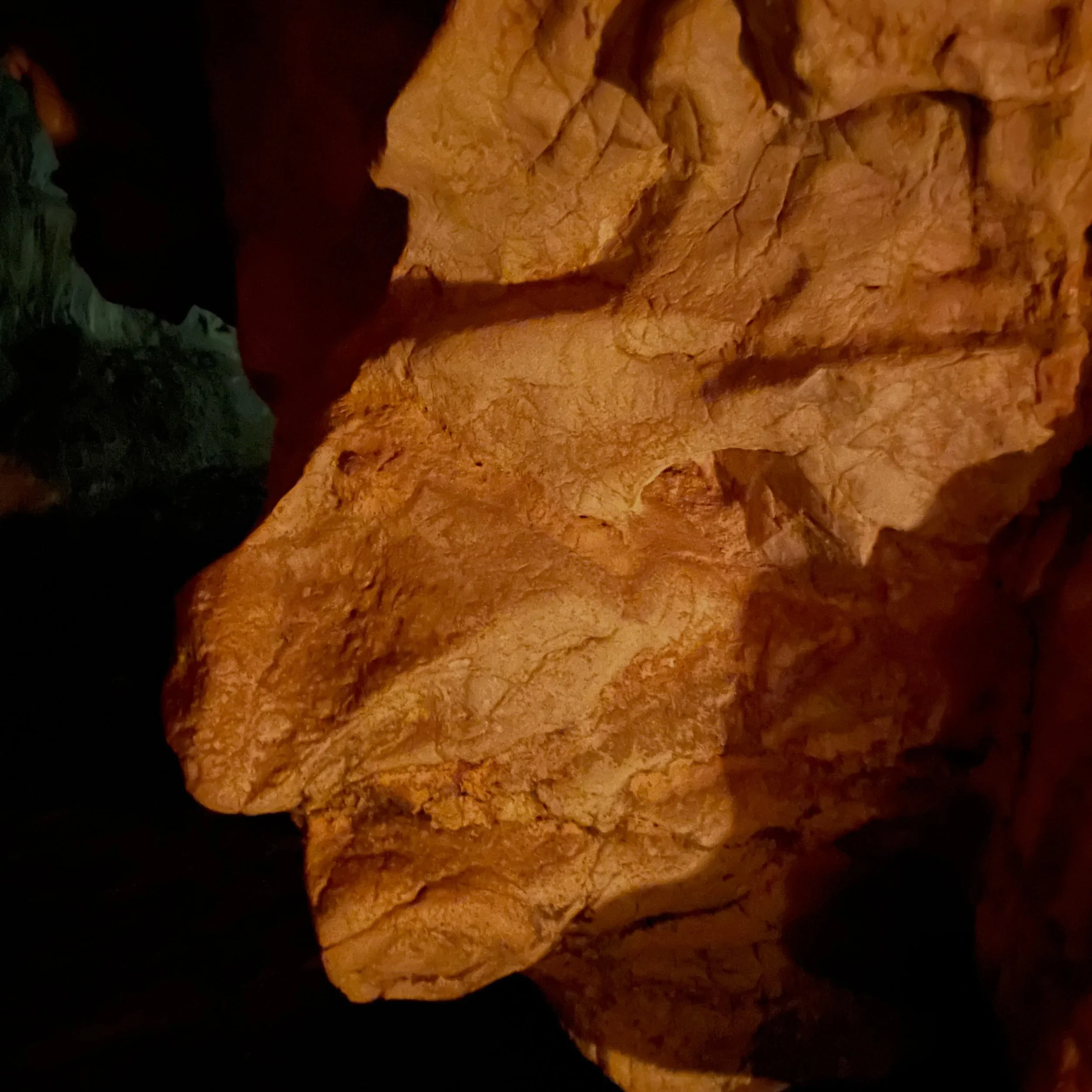 Paleolithic Light and Shadows.

Experimenting with bone marrow fat lamps in a real cave.  Shapes and the relief of cave walls, couple with the dancing light of the flickering flame and the shadows projected by firelight from below. Figures emerge fro