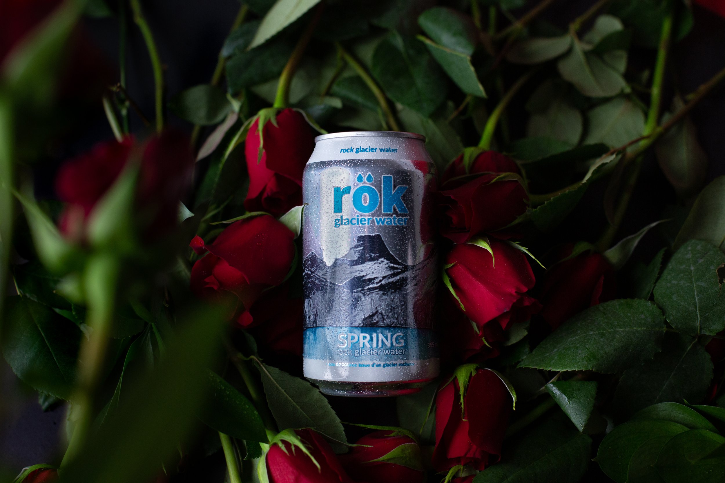 Rök - Winter-December-41.JPG