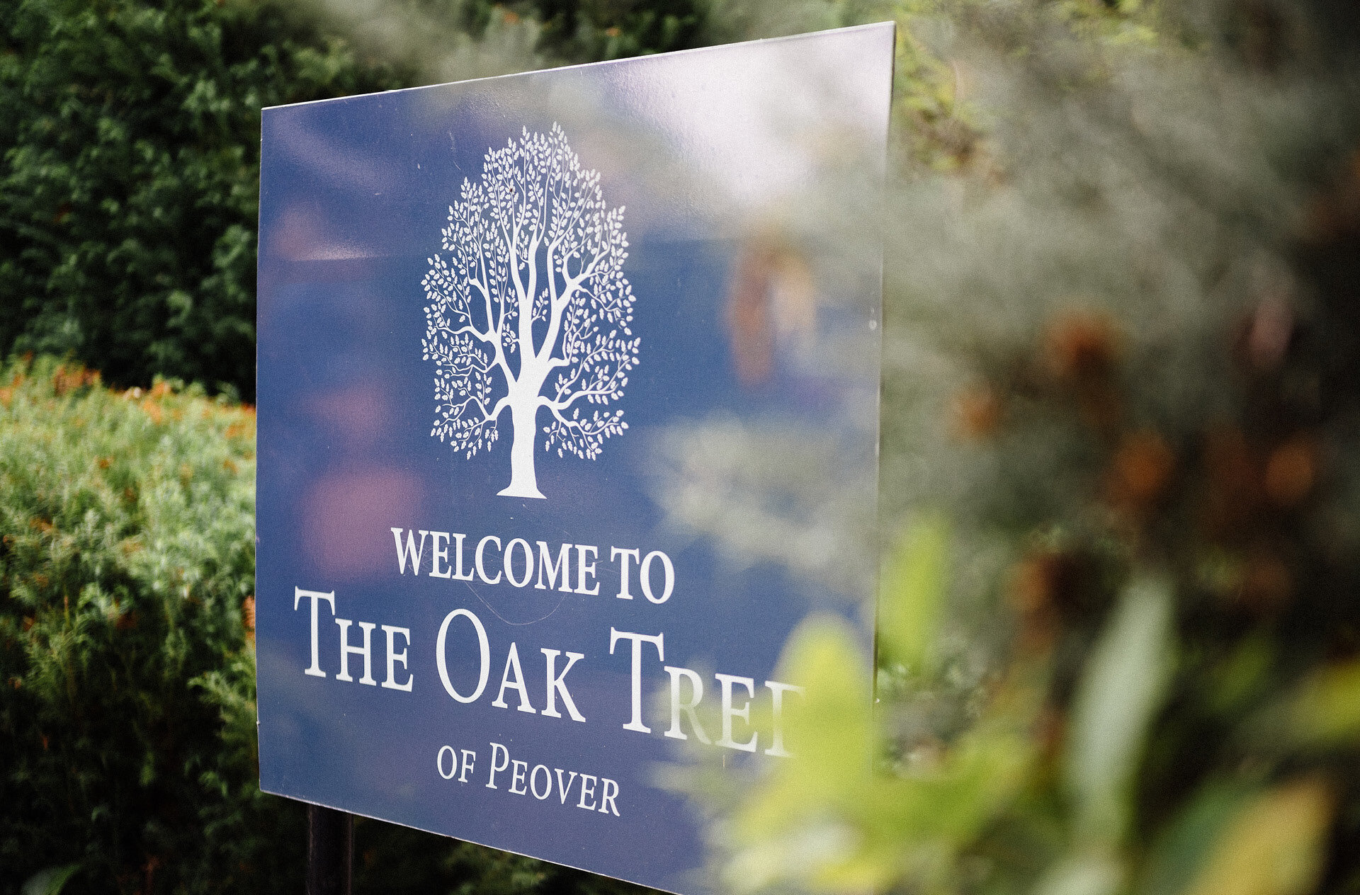 The Oak Tree of Peover70.jpg