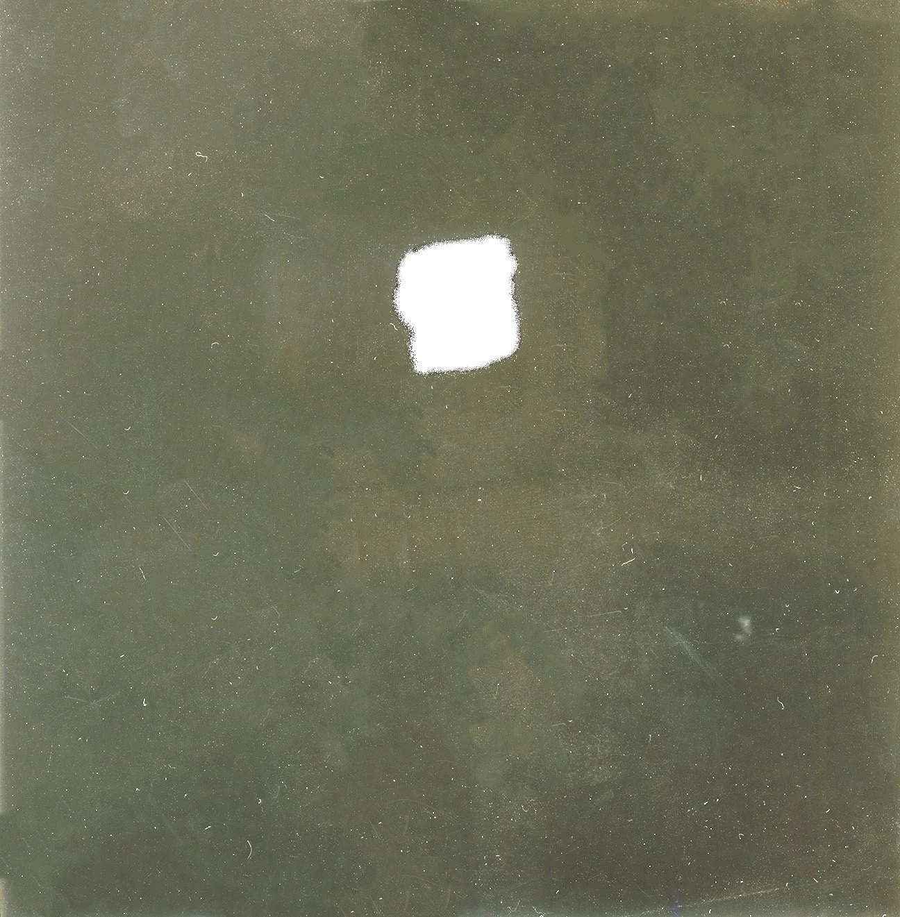 img20221109_18072737 copy.jpg