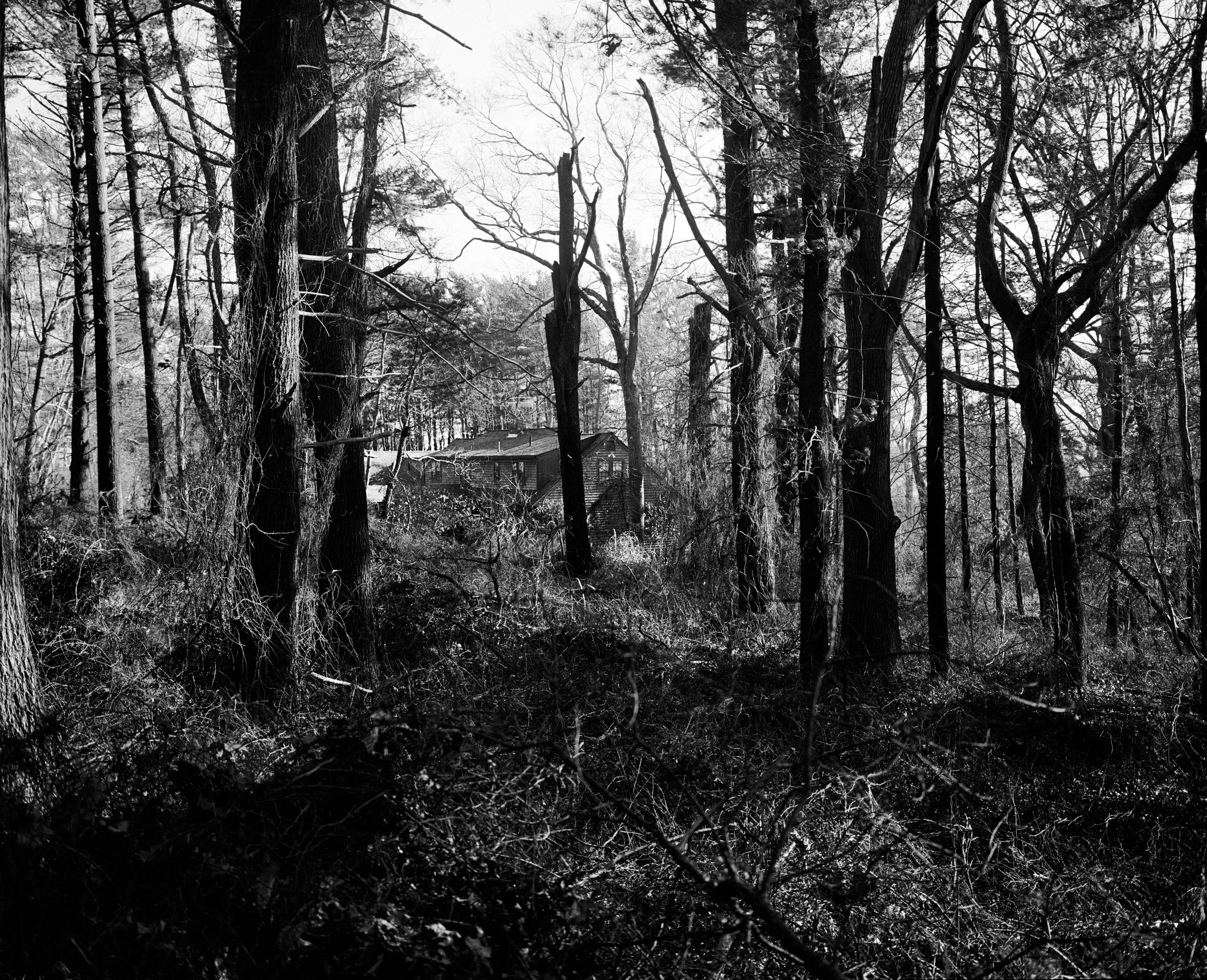 2023-2-11-BWSS 004.jpg