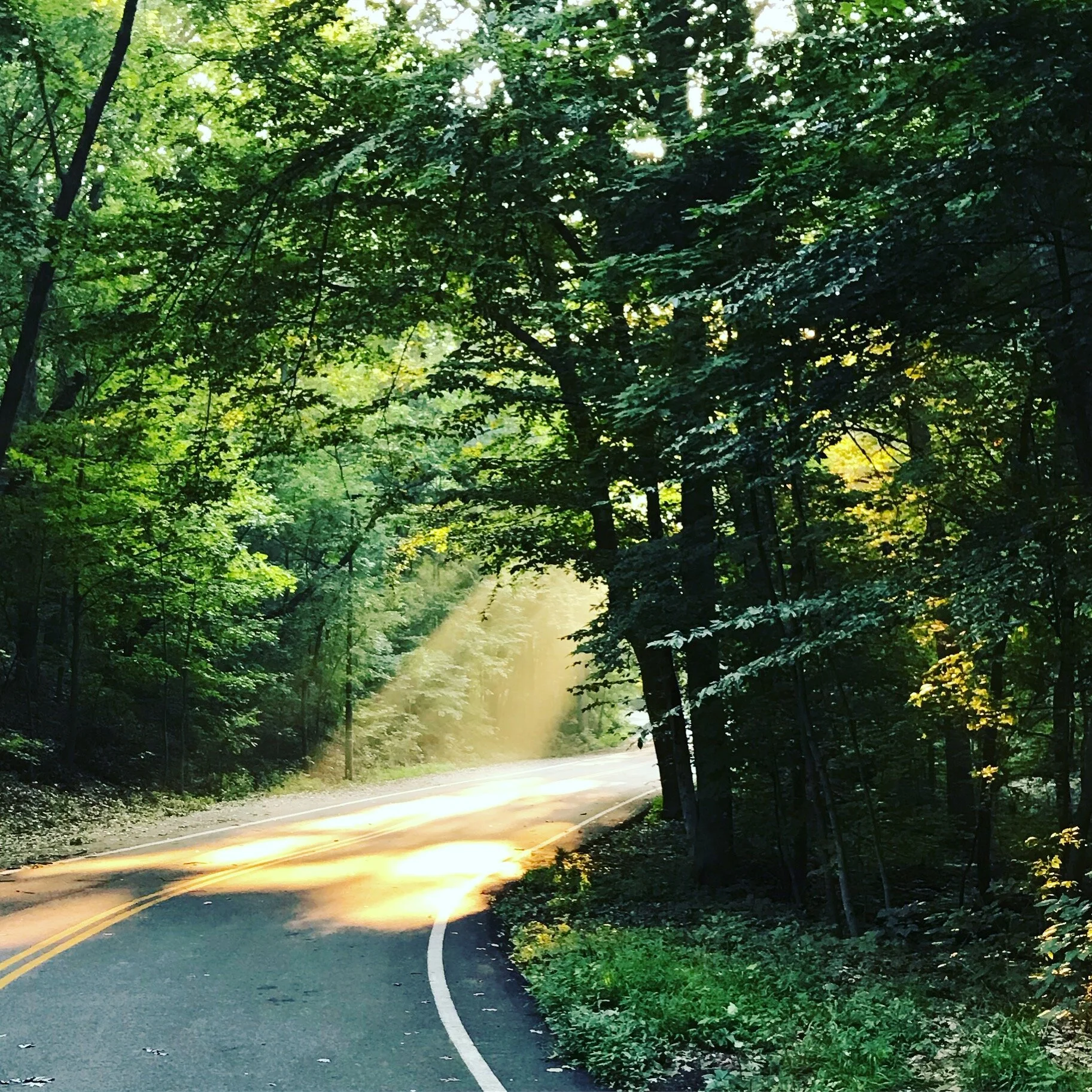 My Favorite Place to Run: Iroquois Park