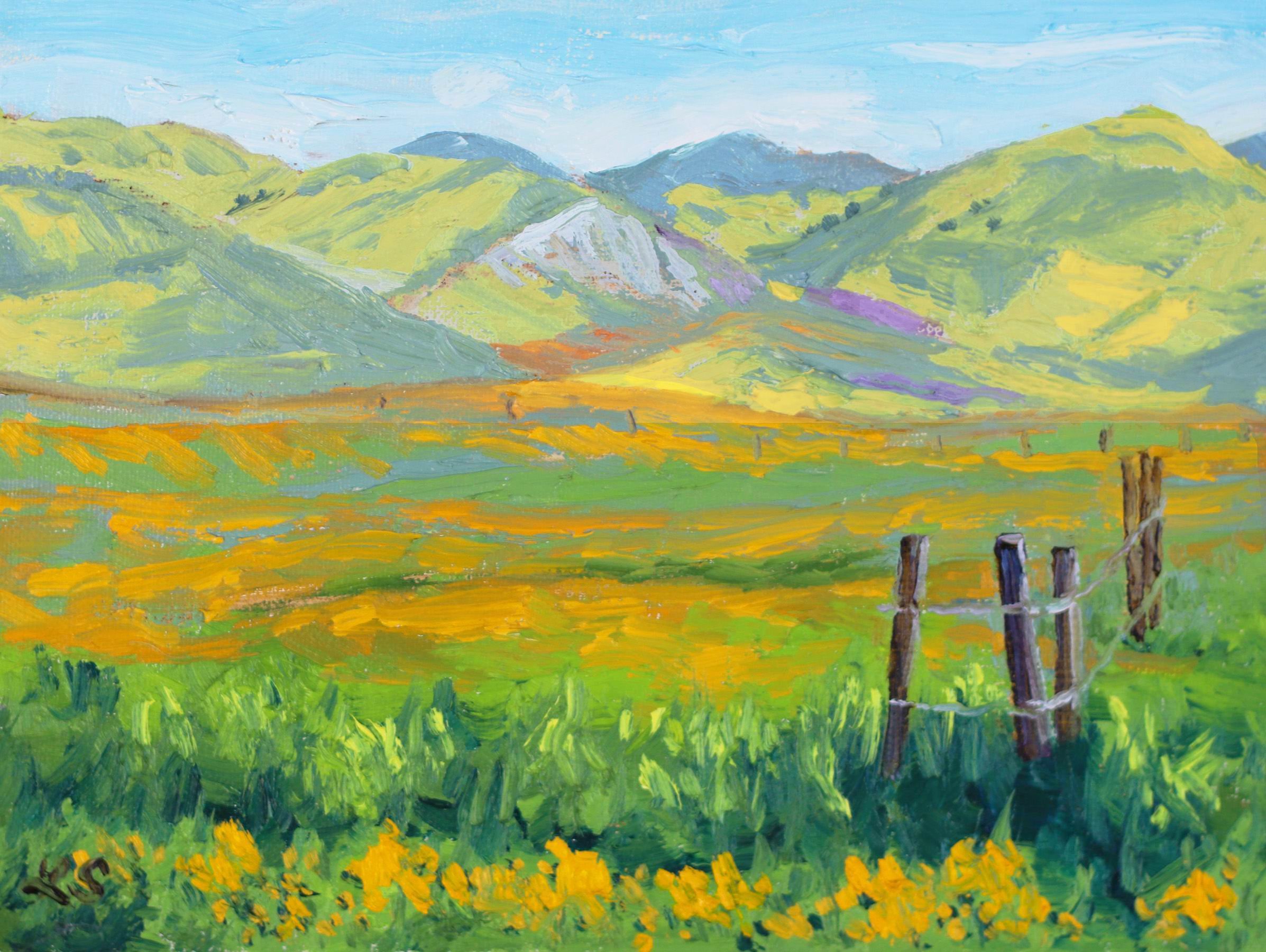 Carrizo Plain Celebration & Art Show