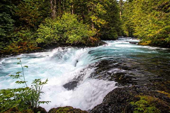 Painting an Oregon River with Pastels
