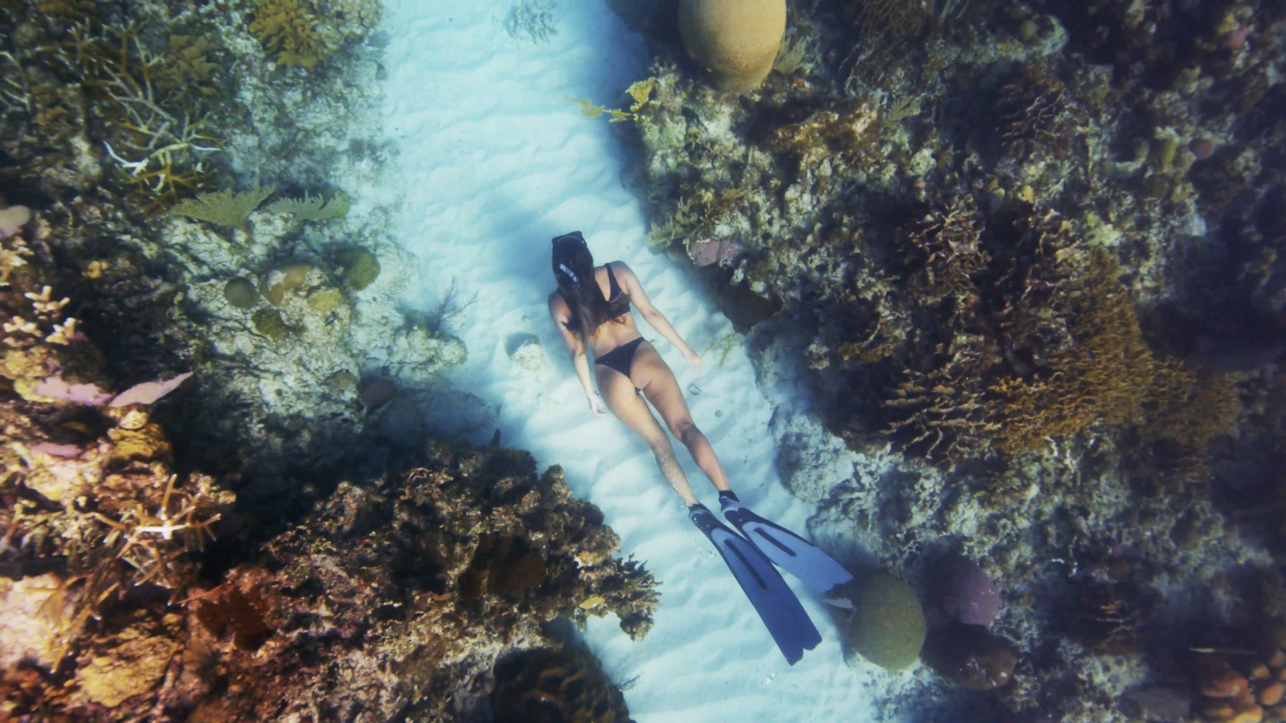 Underwater Reel 2022