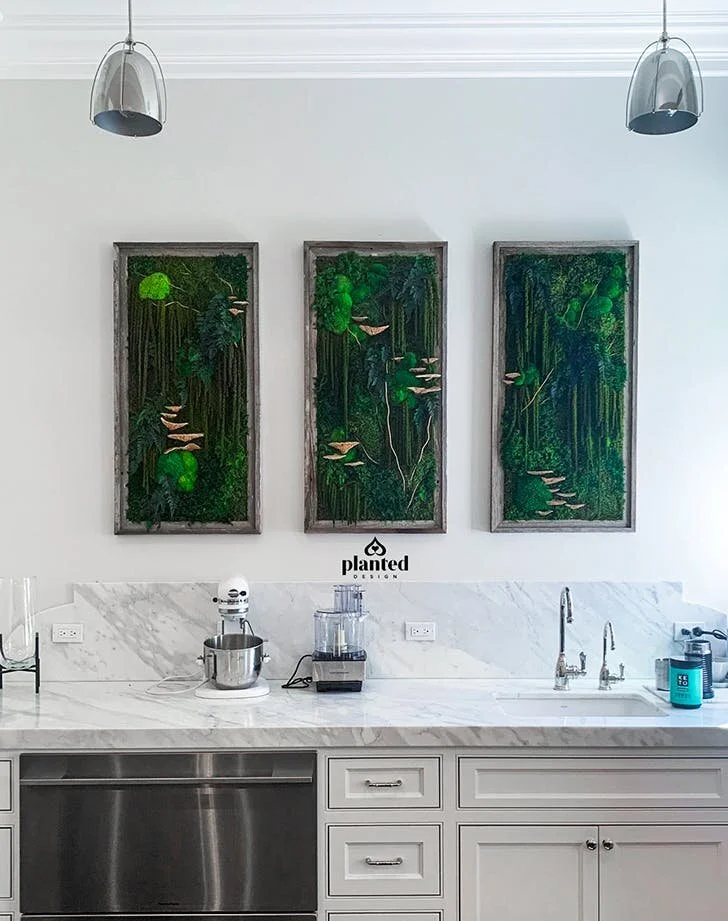moss_art_in_the_kitchen.jpeg