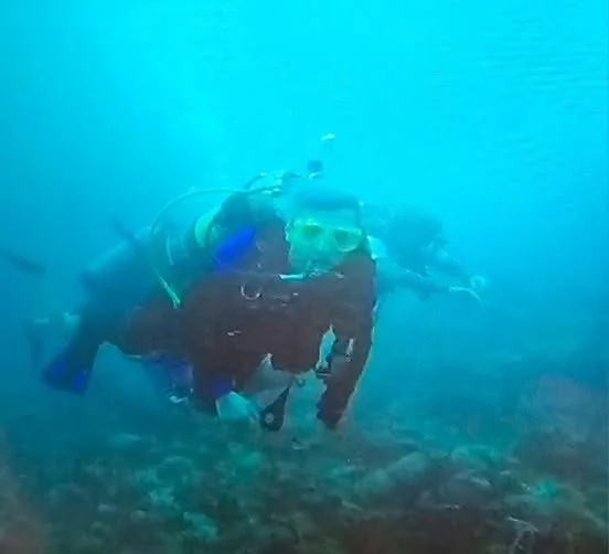 💪Stronger for the Deep End🌊

Patricia Hall joined the StrongerLife family in March 2023 with a very specific goal: prepare for an upcoming dive trip. Life had other plans, and that trip ended up being postponed for over two years - but Pat kept sho