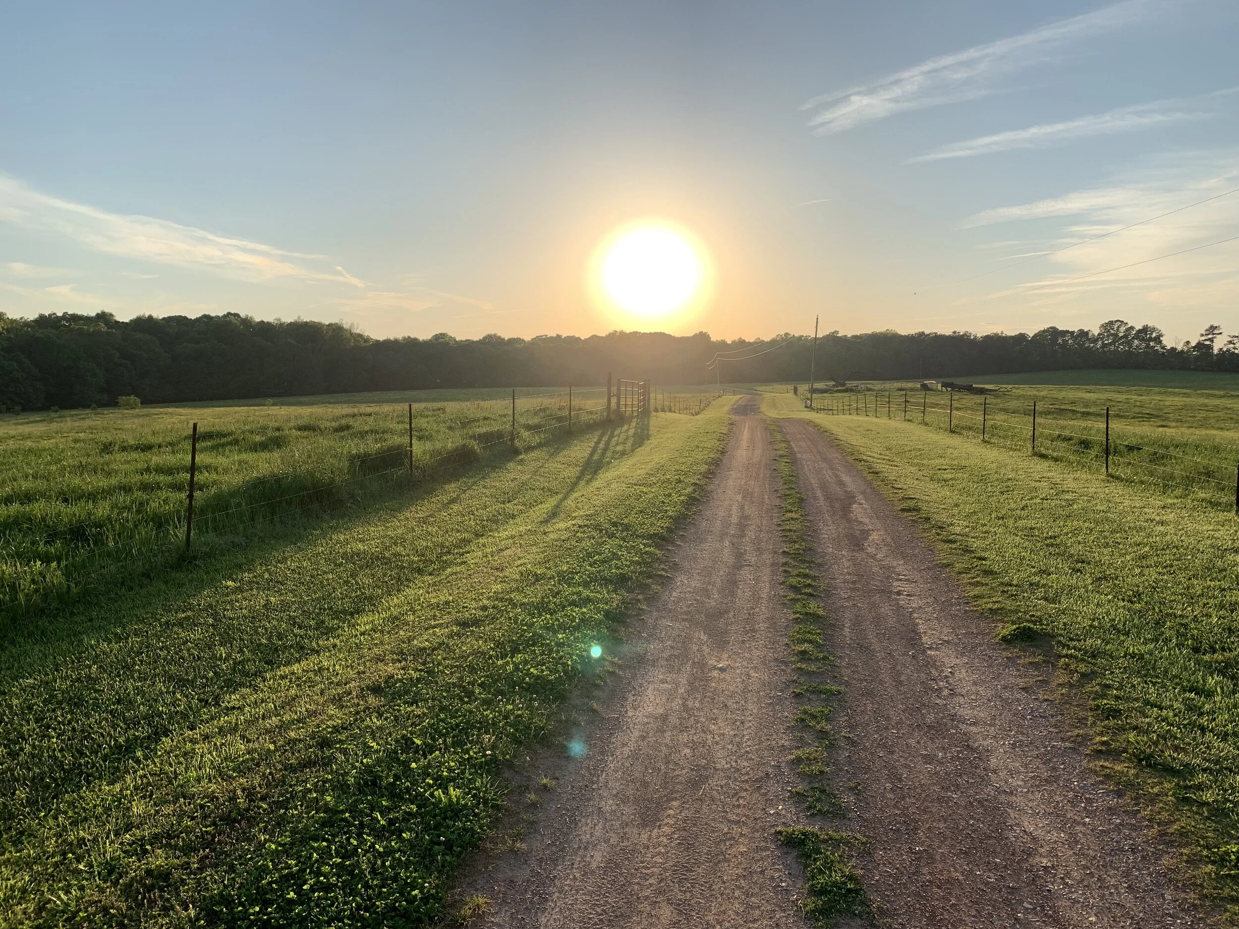 Peaceful Meadows Farm