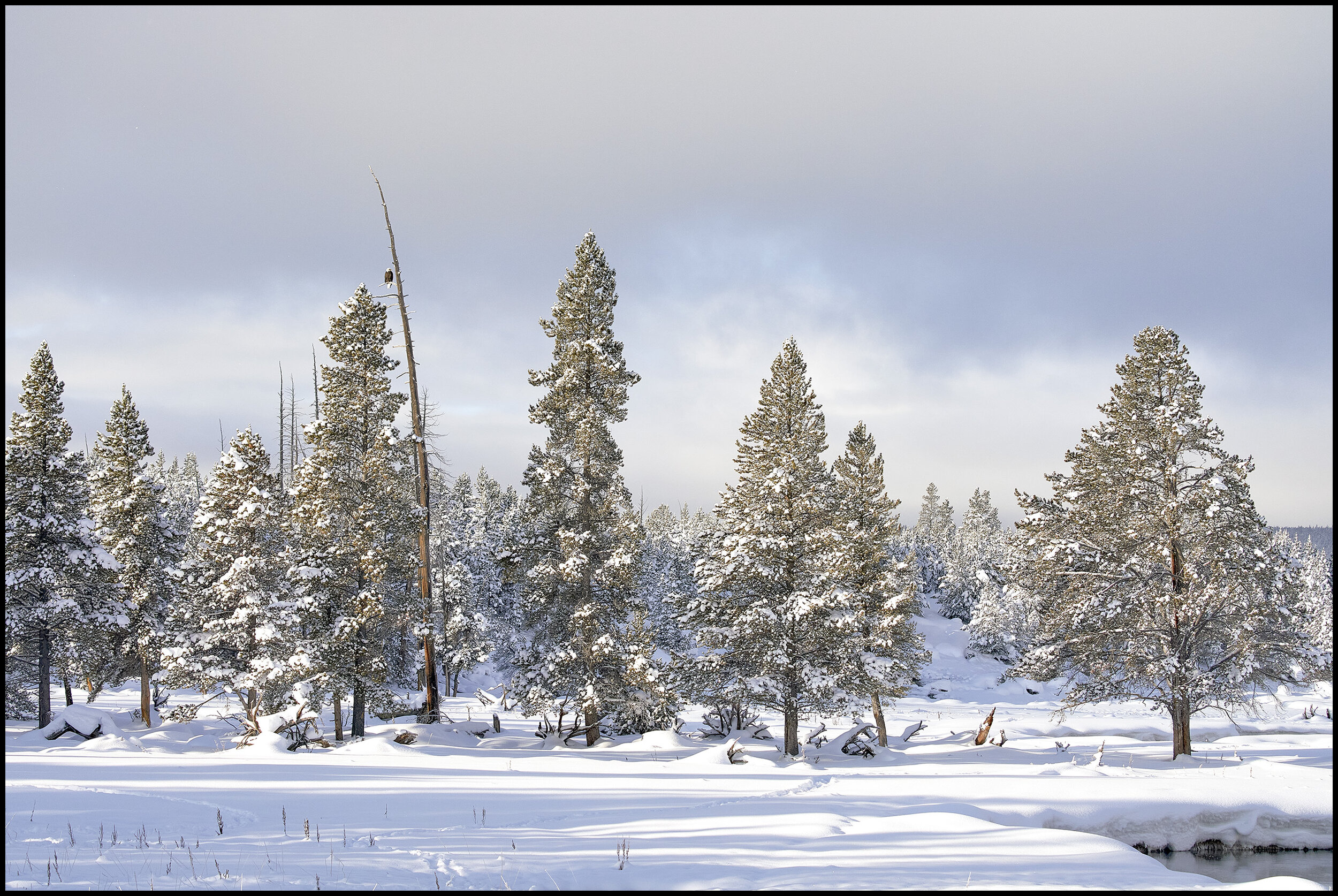 Yellowstone National Park