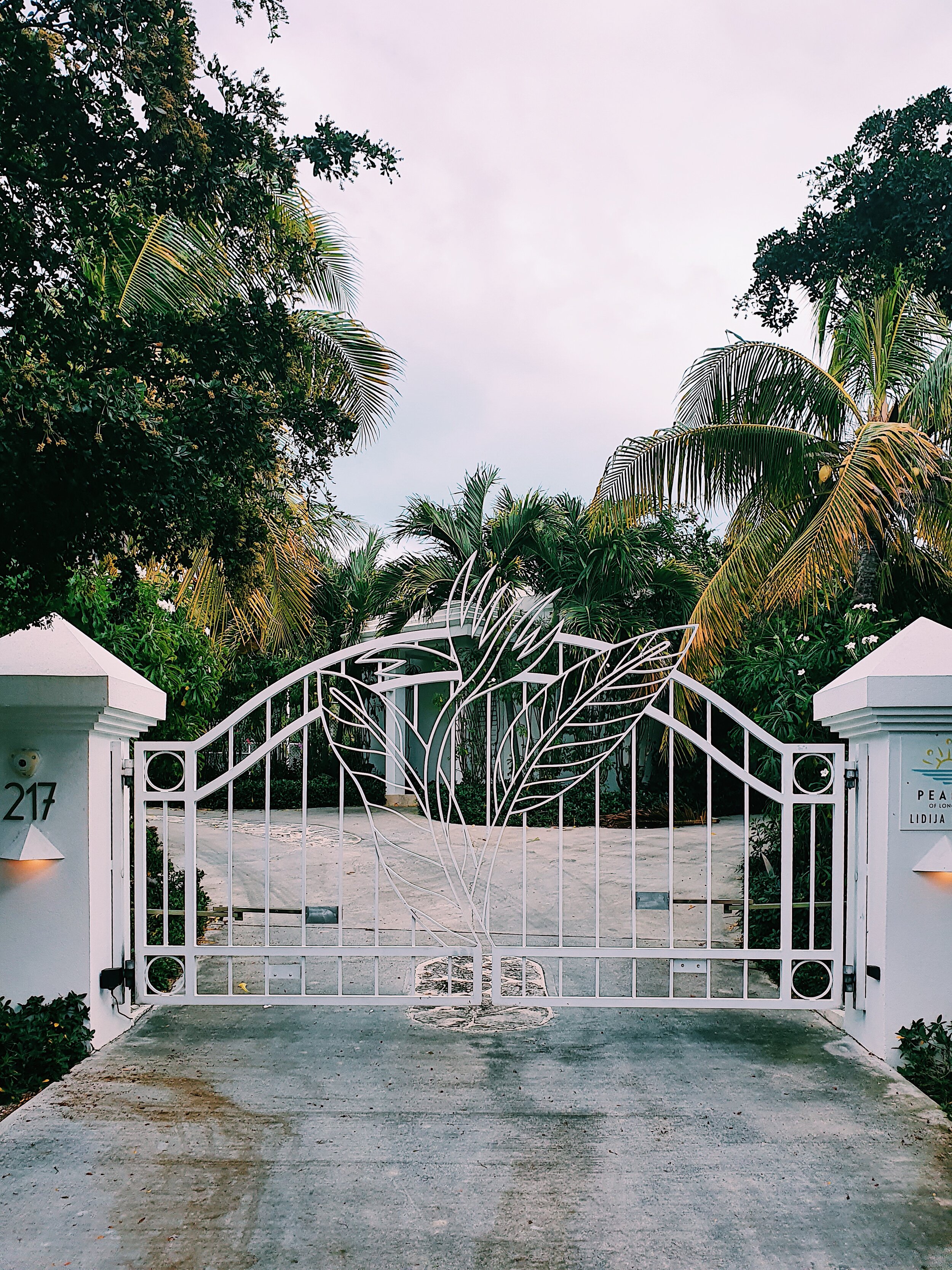 Tibors Machine Shop Gate 8.JPG