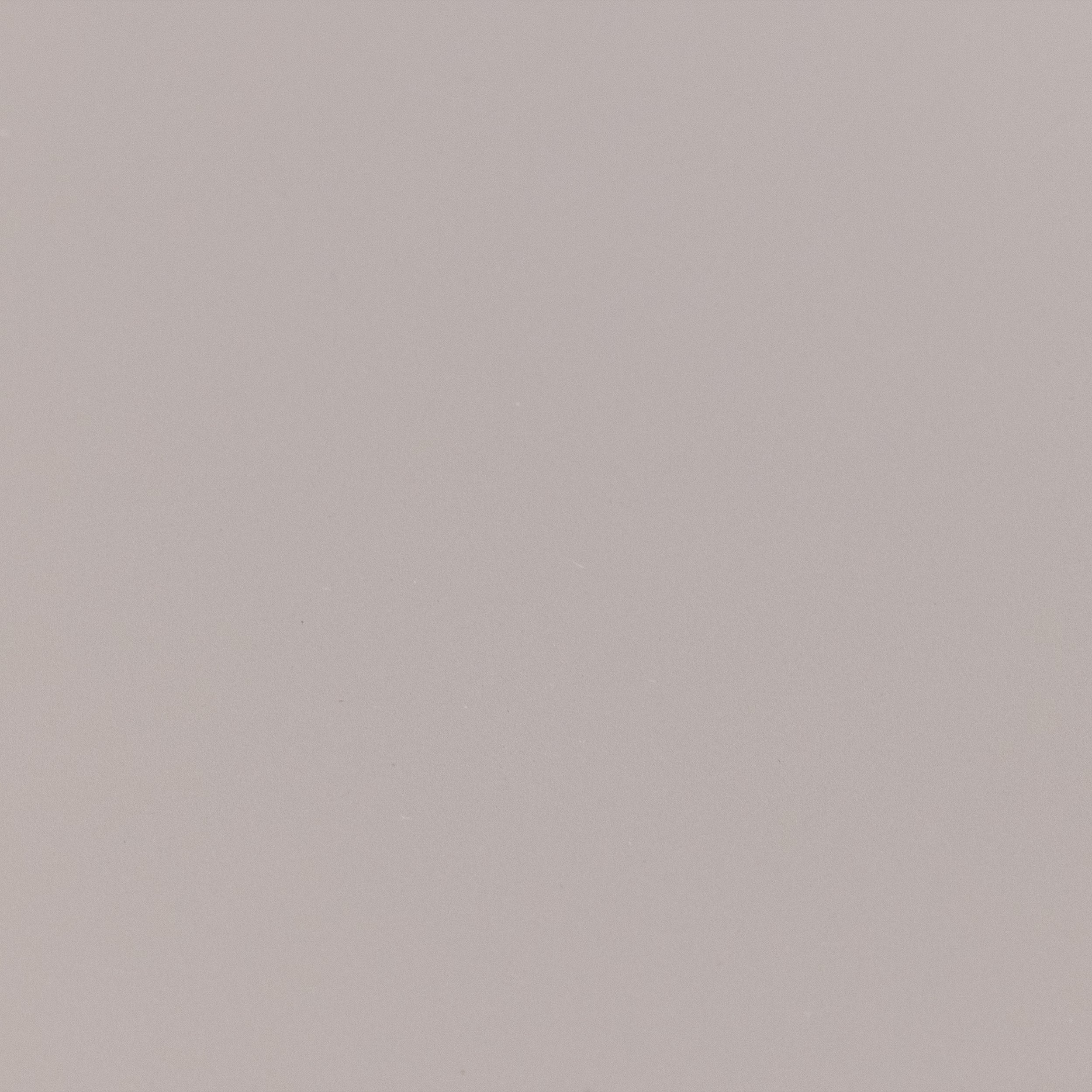 Storm Beige