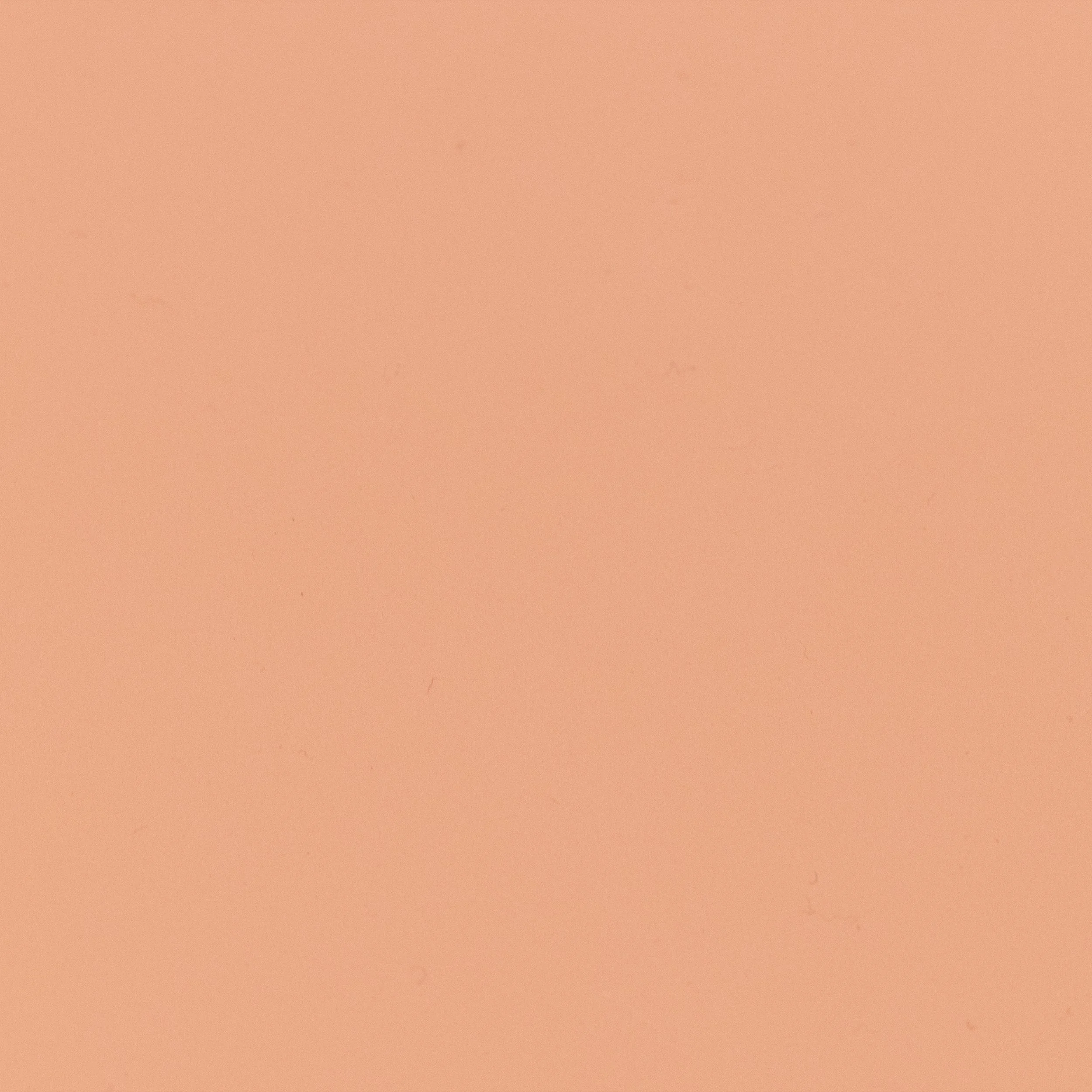 Rose Bisque