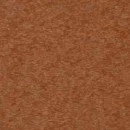 Cedar